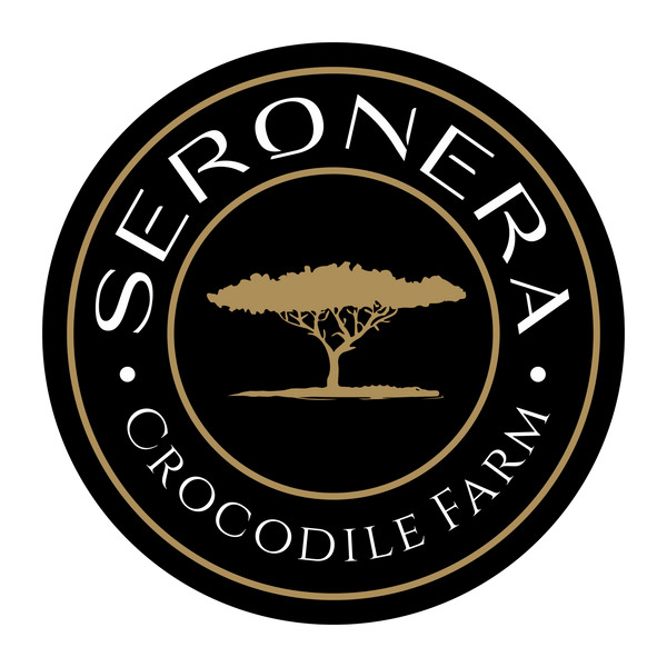 Footer Logo