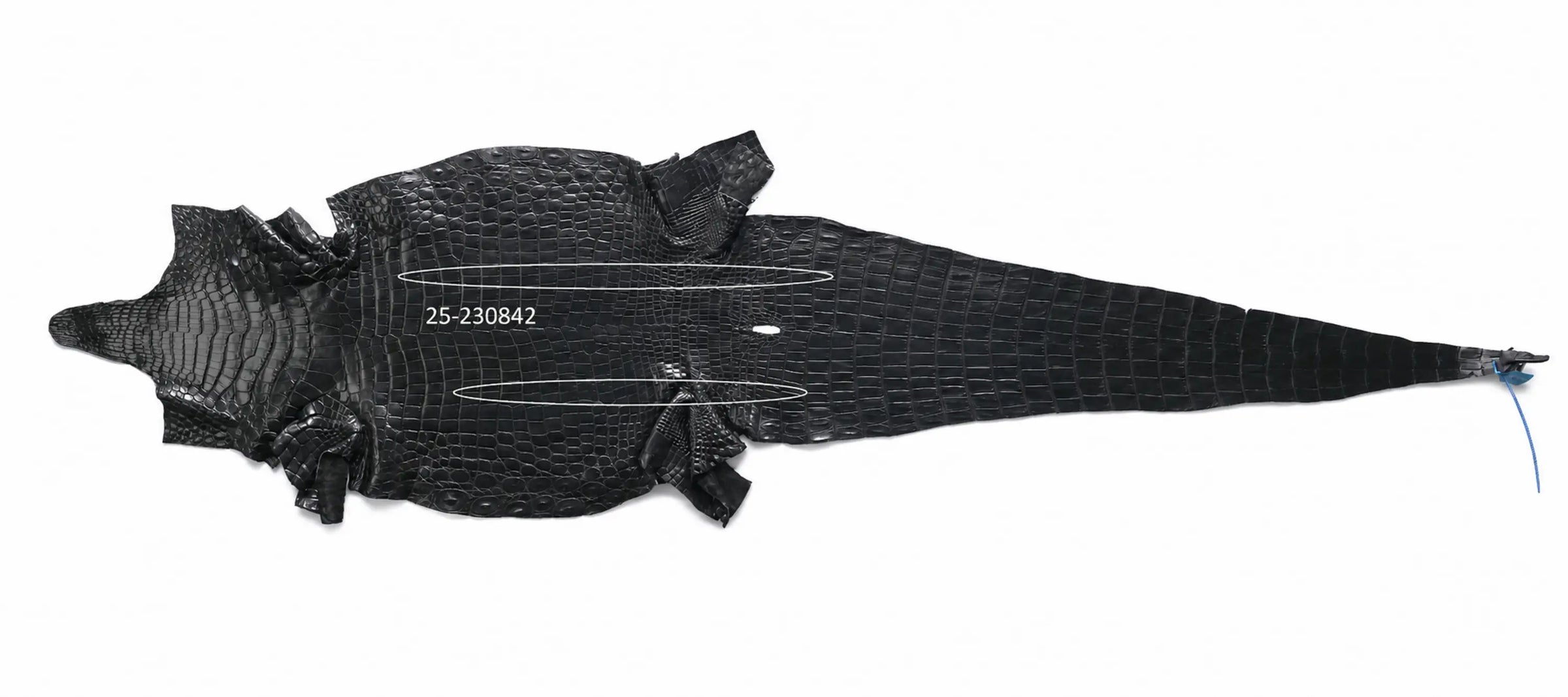 Seronera belt - Cognac / 70 cm / 35 mm - 126839 - skin