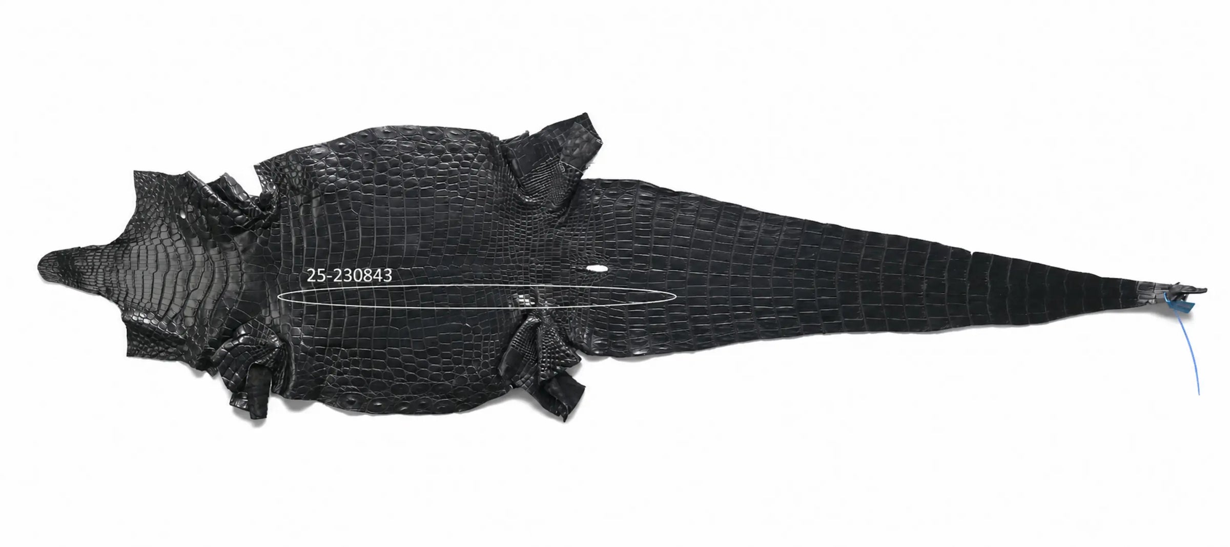 Seronera belt - Cognac / 70 cm / 40 mm - 127358 - skin