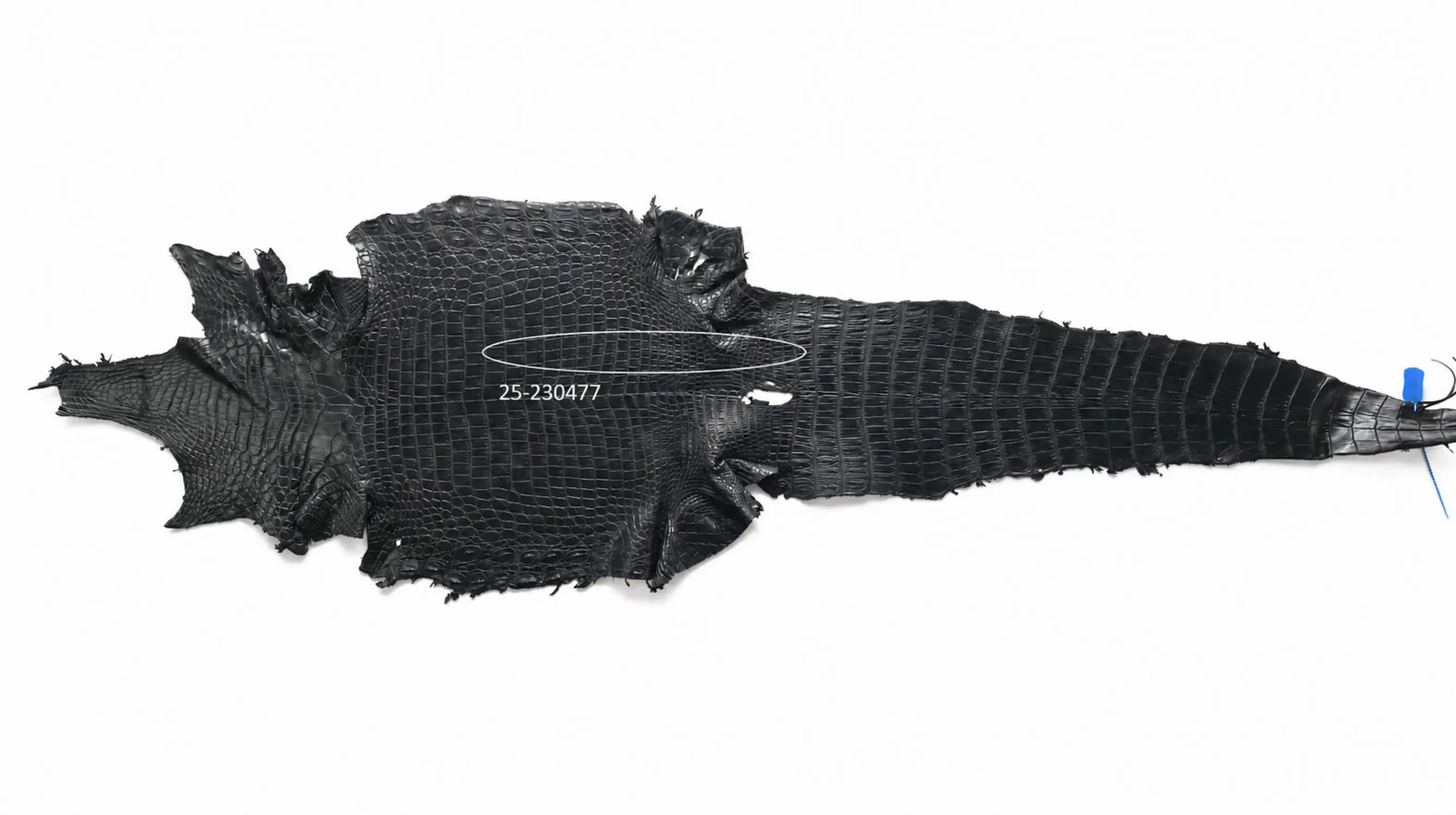 Seronera belt - Black / 85 cm / 35 mm - 126571 - skin