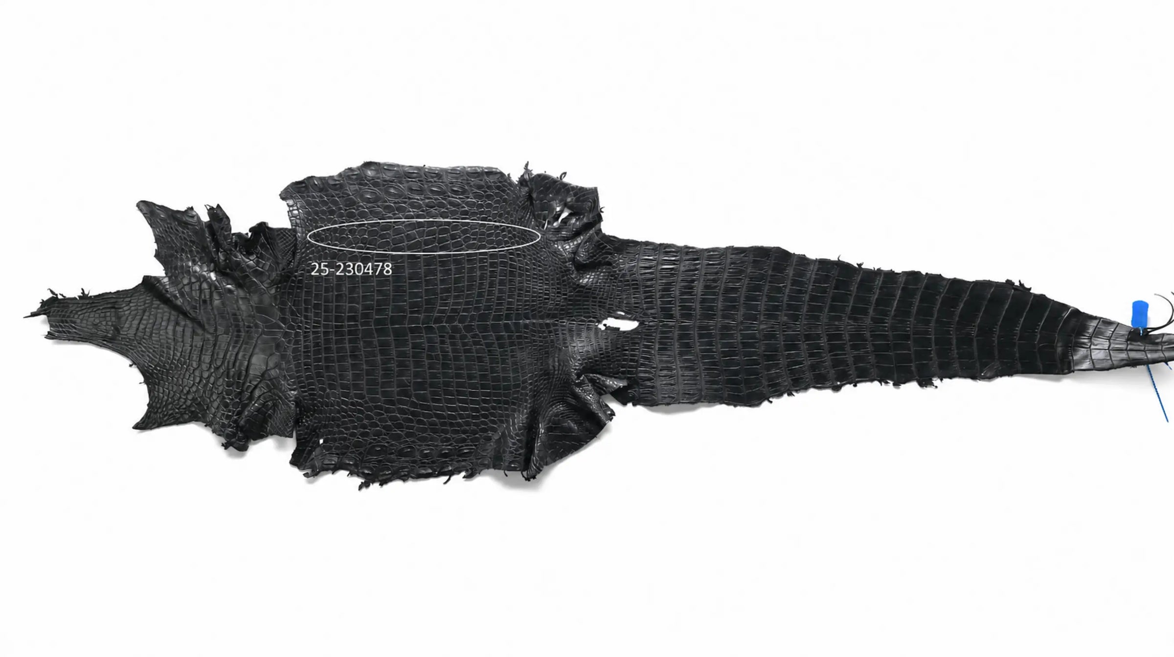 Seronera belt - Black / 70 cm / 35 mm - 126572 - skin
