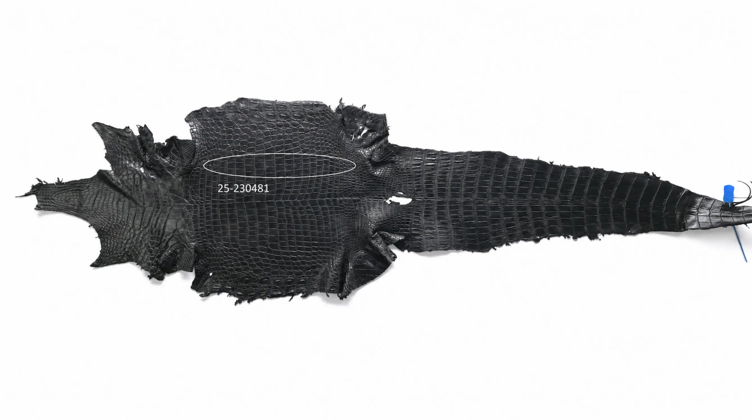 Seronera belt - Black / 75 cm / 35 mm - 126575 - skin