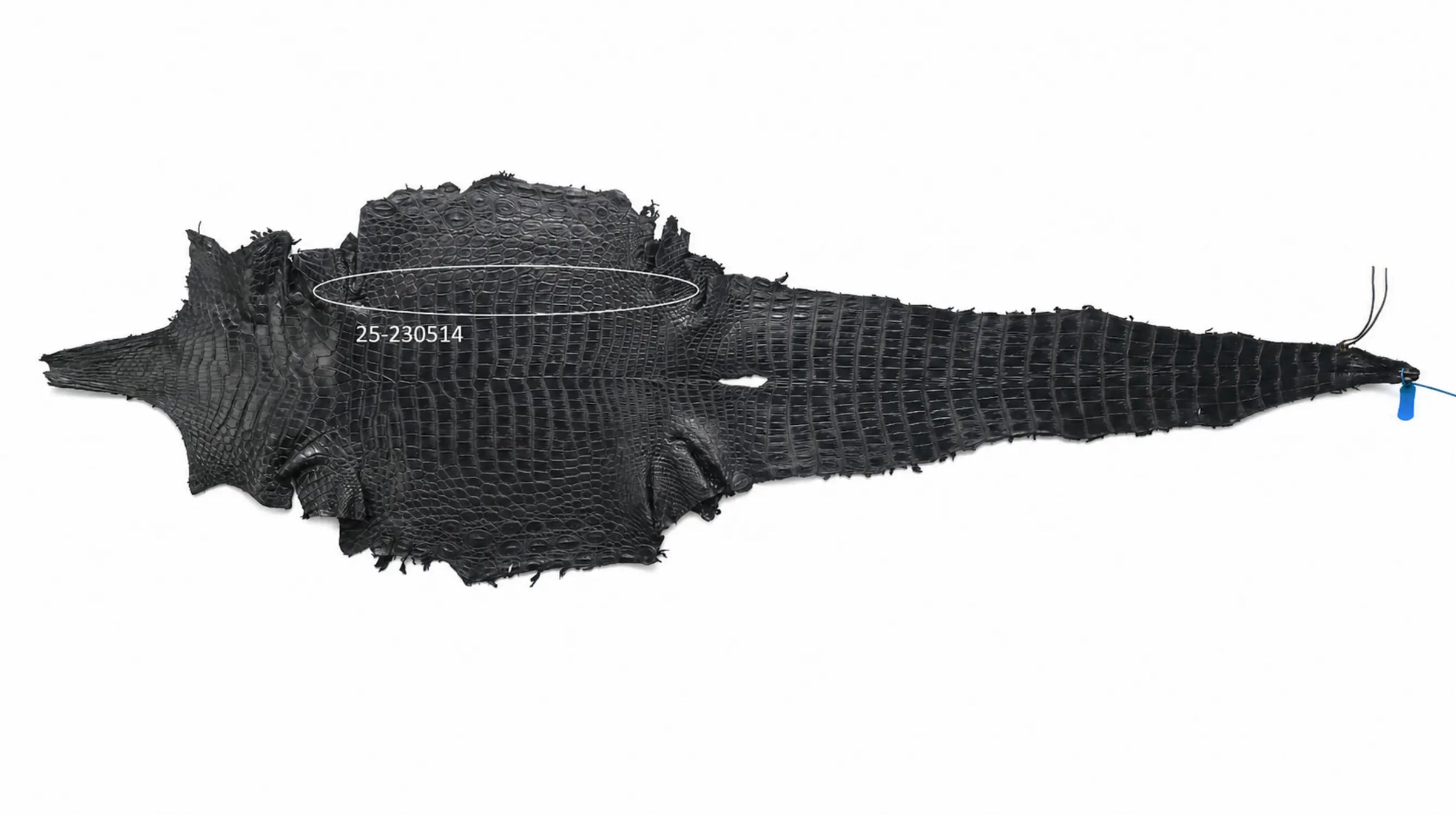 Seronera belt - Black / 85 cm / 35 mm - 126608 - skin