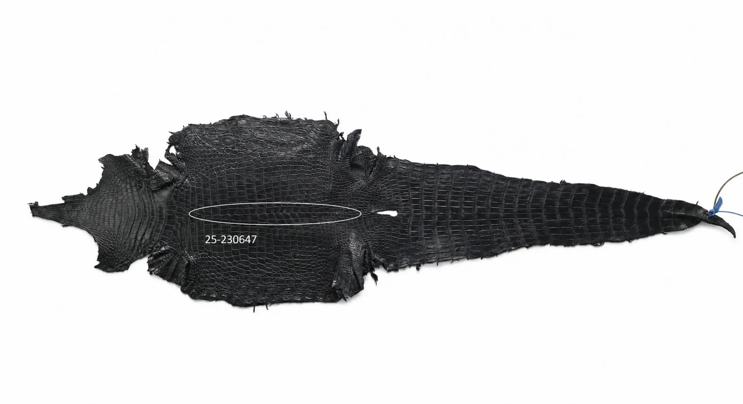 Seronera belt - Black / 85 cm / 40 mm - 126711 - skin