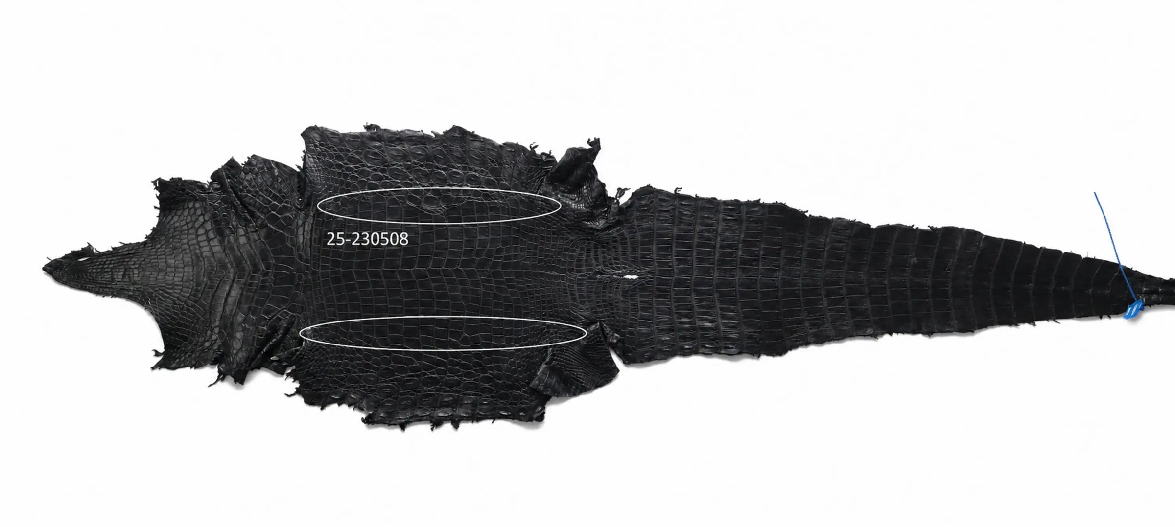 Seronera belt - Black / 70 cm / 40 mm - 126602 - skin