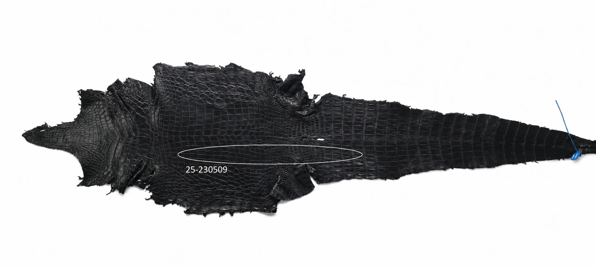 Seronera belt - Black / 105 cm / 40 mm - 126603 - skin