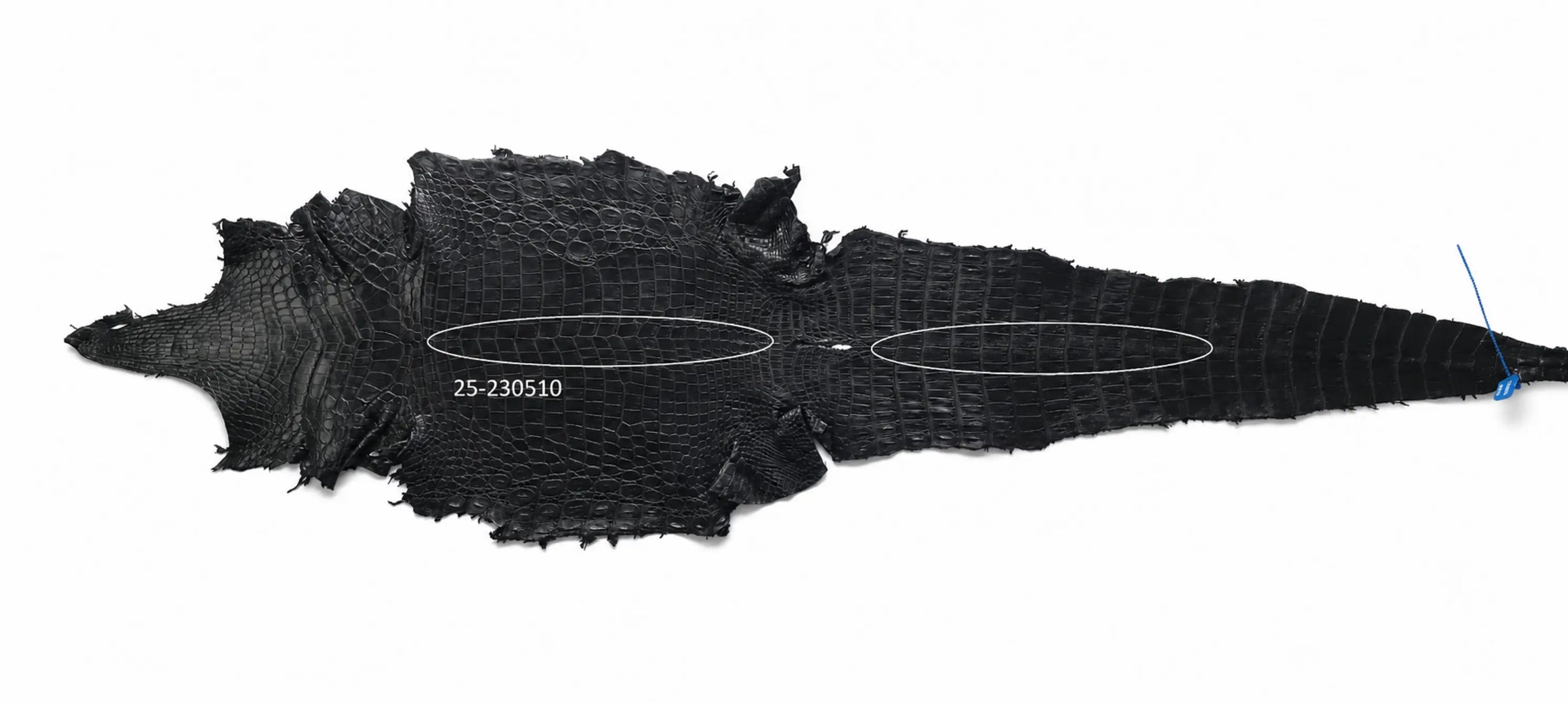 Seronera belt - Black / 105 cm / 40 mm - 126604 - skin
