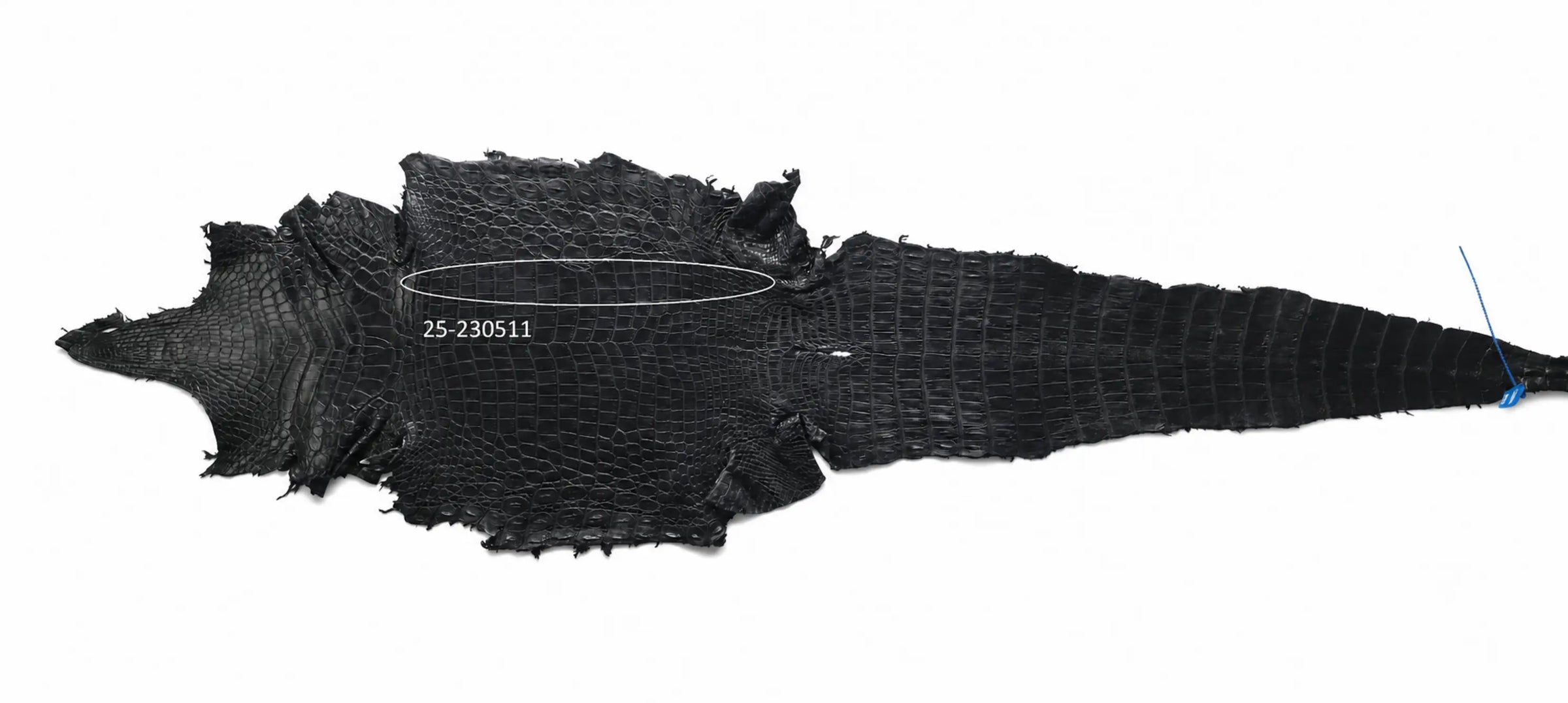 Seronera belt - Black / 95 cm / 40 mm - 126605 - skin