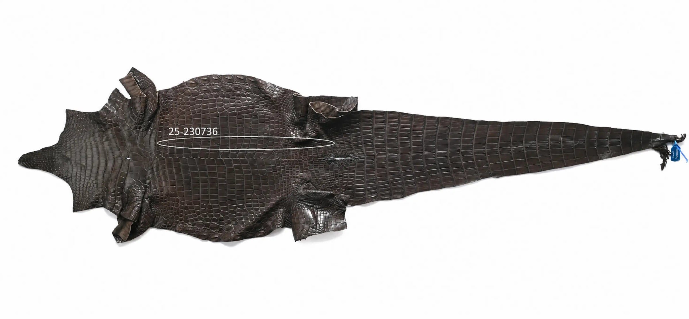 Seronera belt - Brown Variance / 95 cm / 35 mm - 126799 - skin
