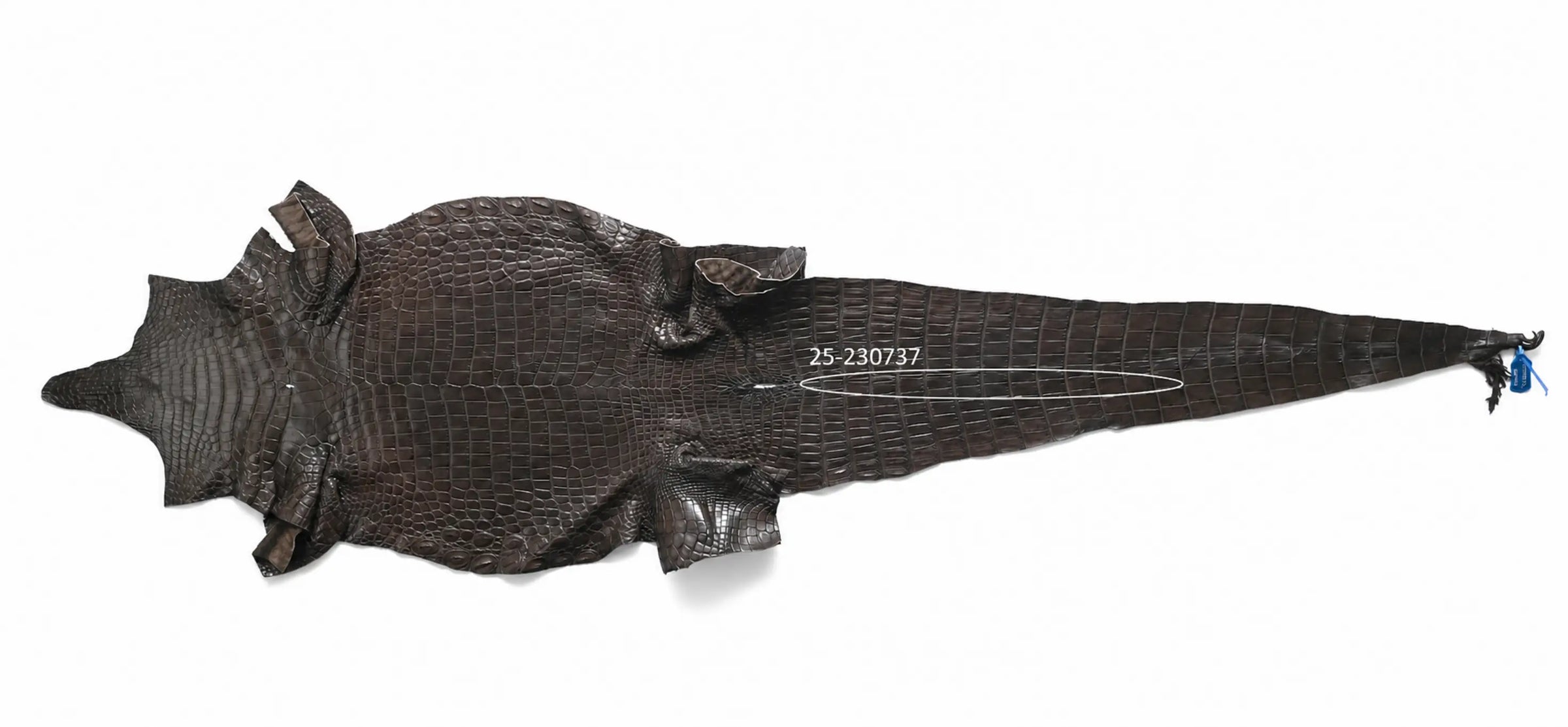 Seronera belt - Brown Variance / 95 cm / 35 mm - 126800 - skin