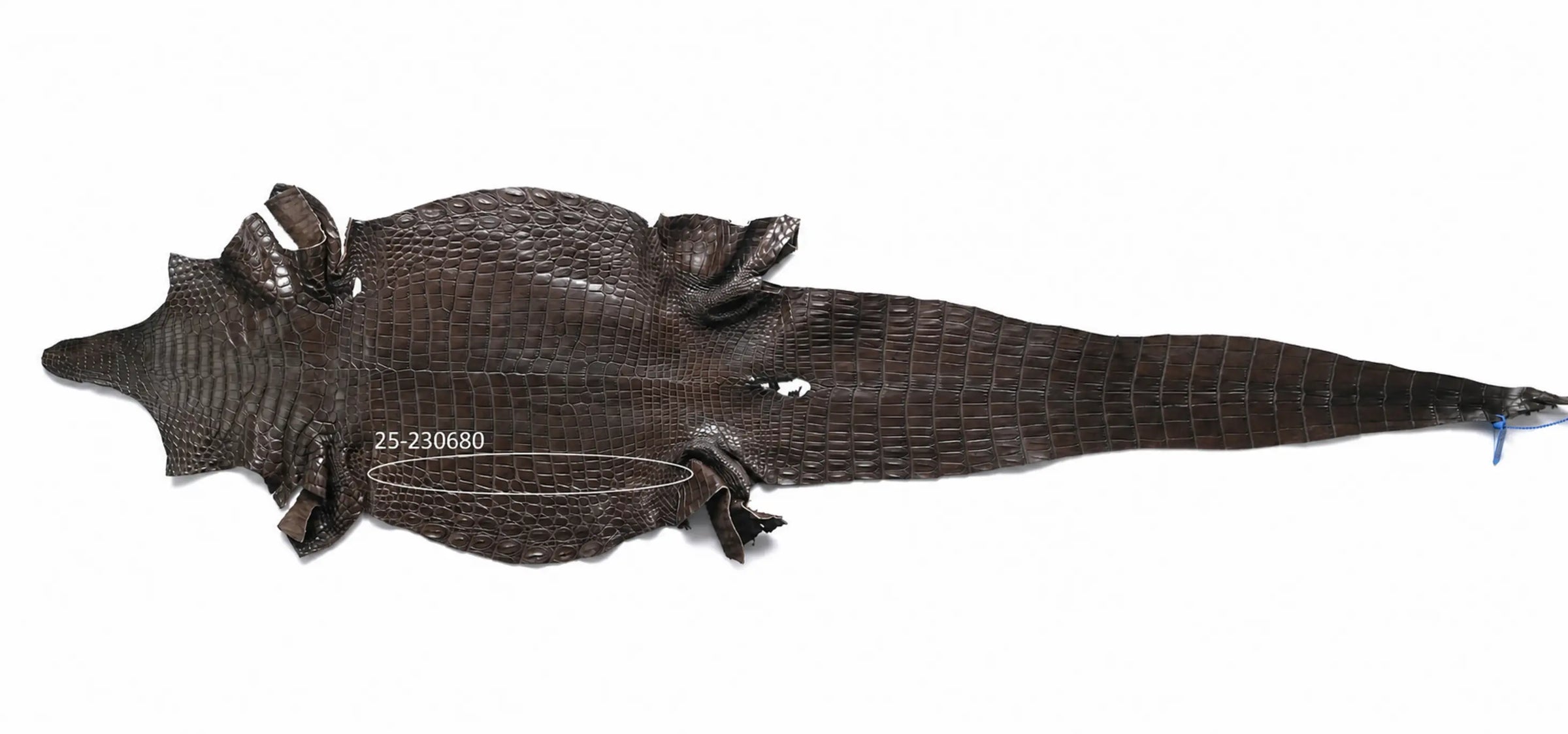 Seronera belt - Brown Variance / 85 cm / 35 mm - 126743 - skin