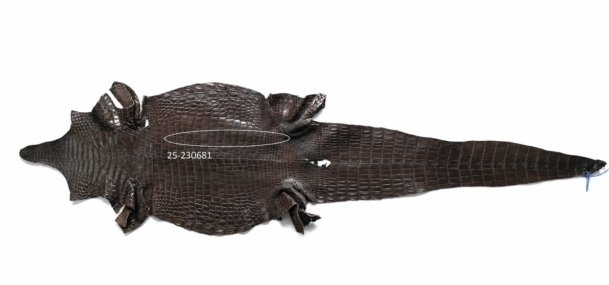 Seronera belt - Brown Variance / 85 cm / 35 mm - 126744 - skin
