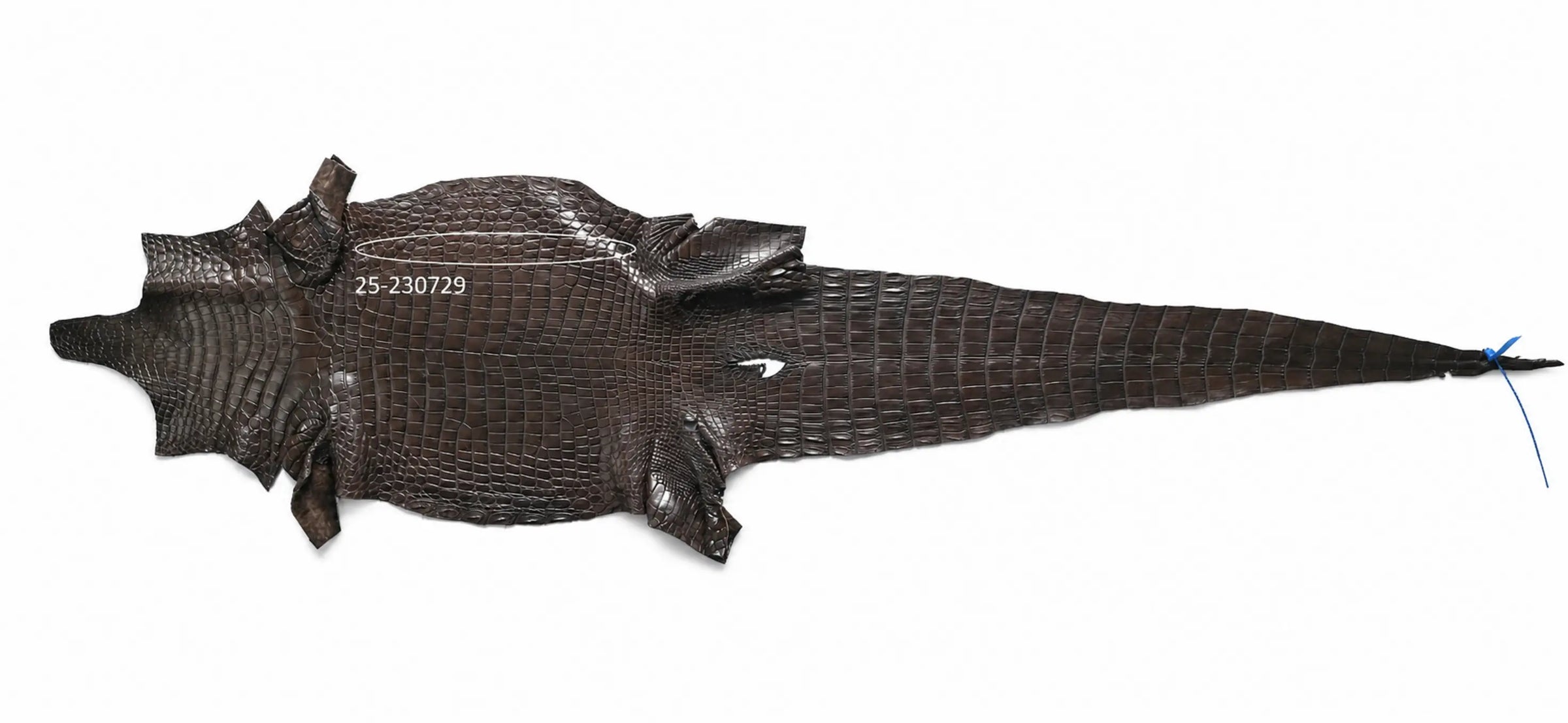 Seronera belt - Brown Variance / 85 cm / 35 mm - 126792 - skin