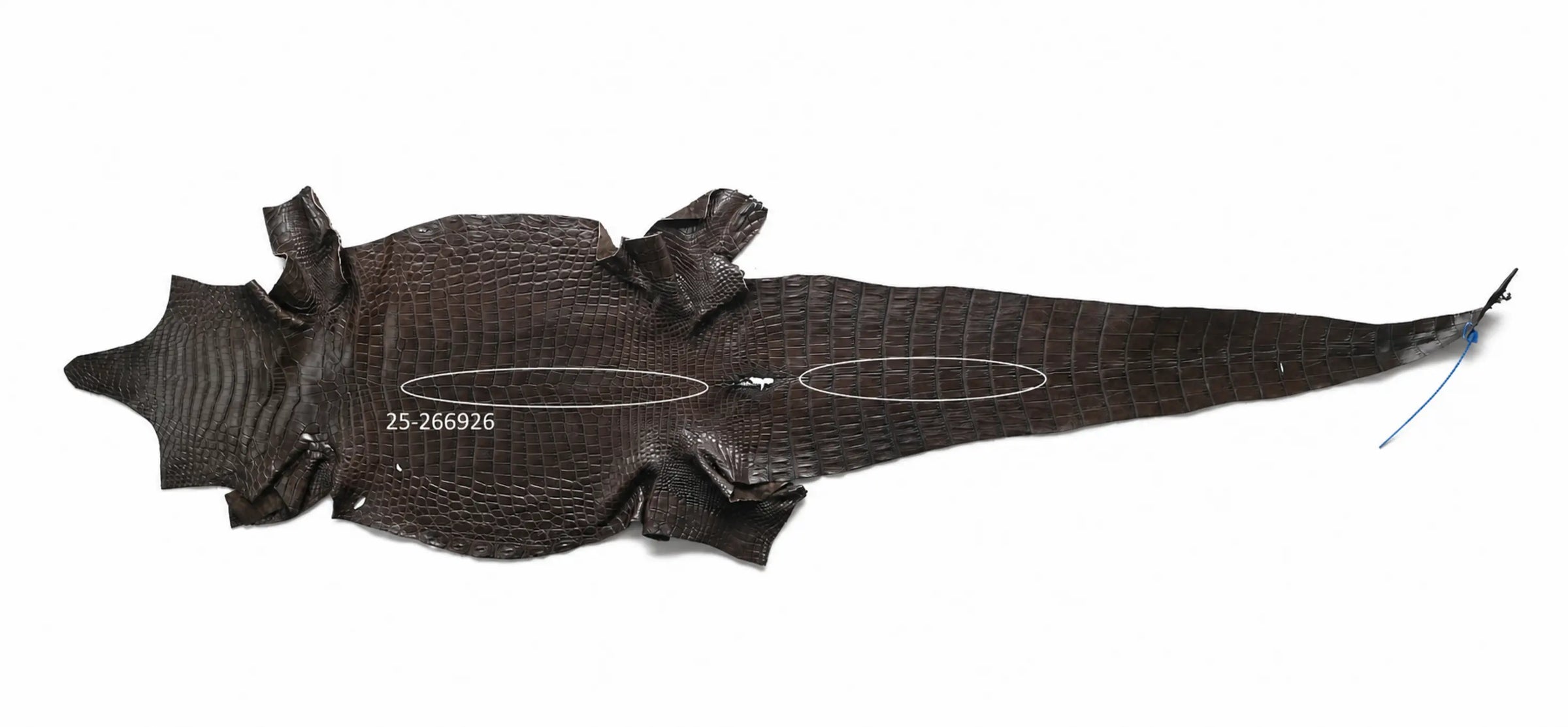 Seronera belt - Brown Variance / 110 cm / 40 mm - 126936 - skin