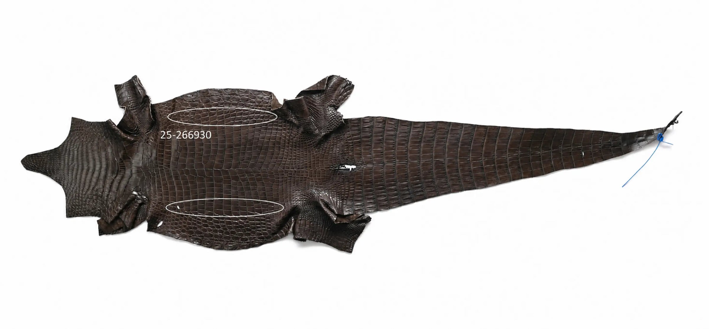 Seronera belt - Brown Variance / 90 cm / 35 mm - 126940 - skin
