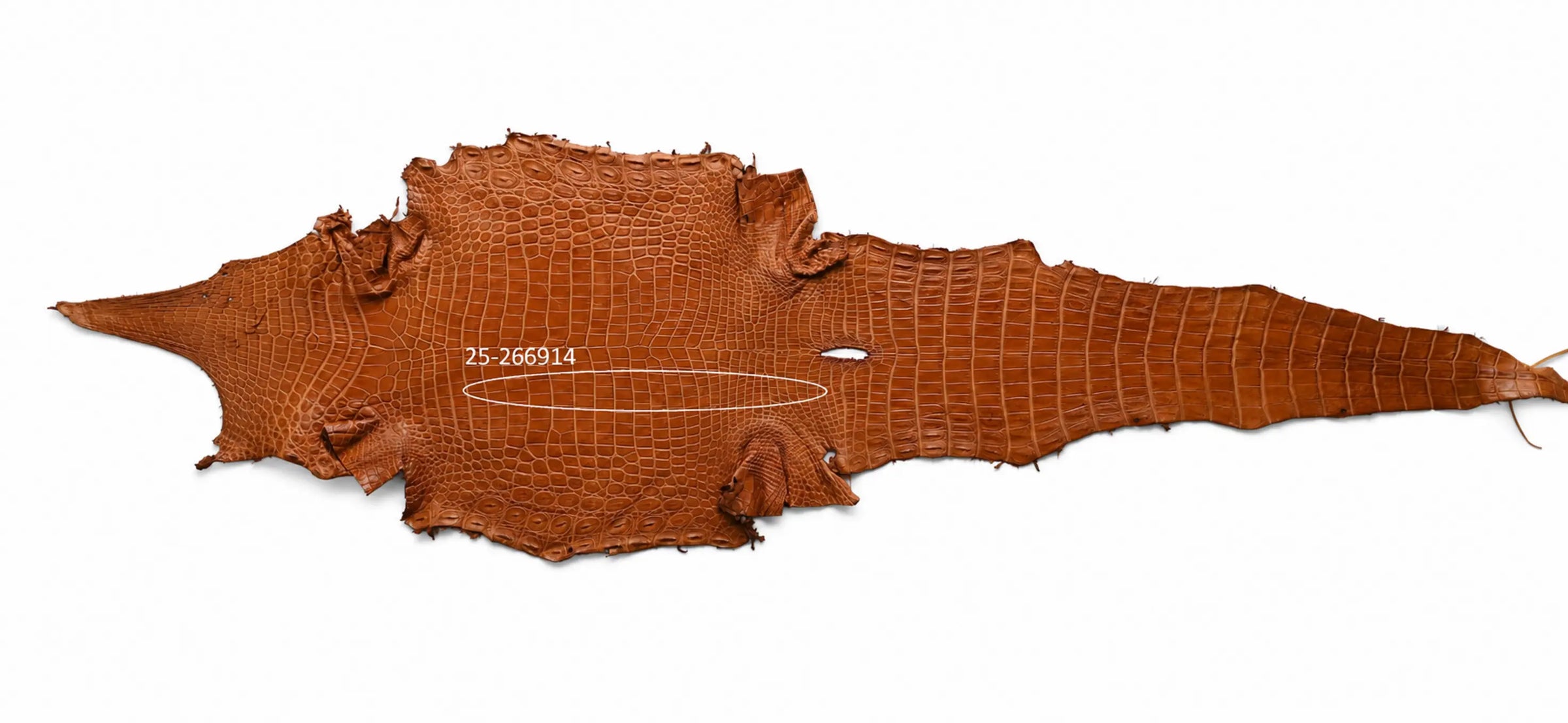 Seronera belt - Cognac / 105 cm / 40 mm - 126924 - skin
