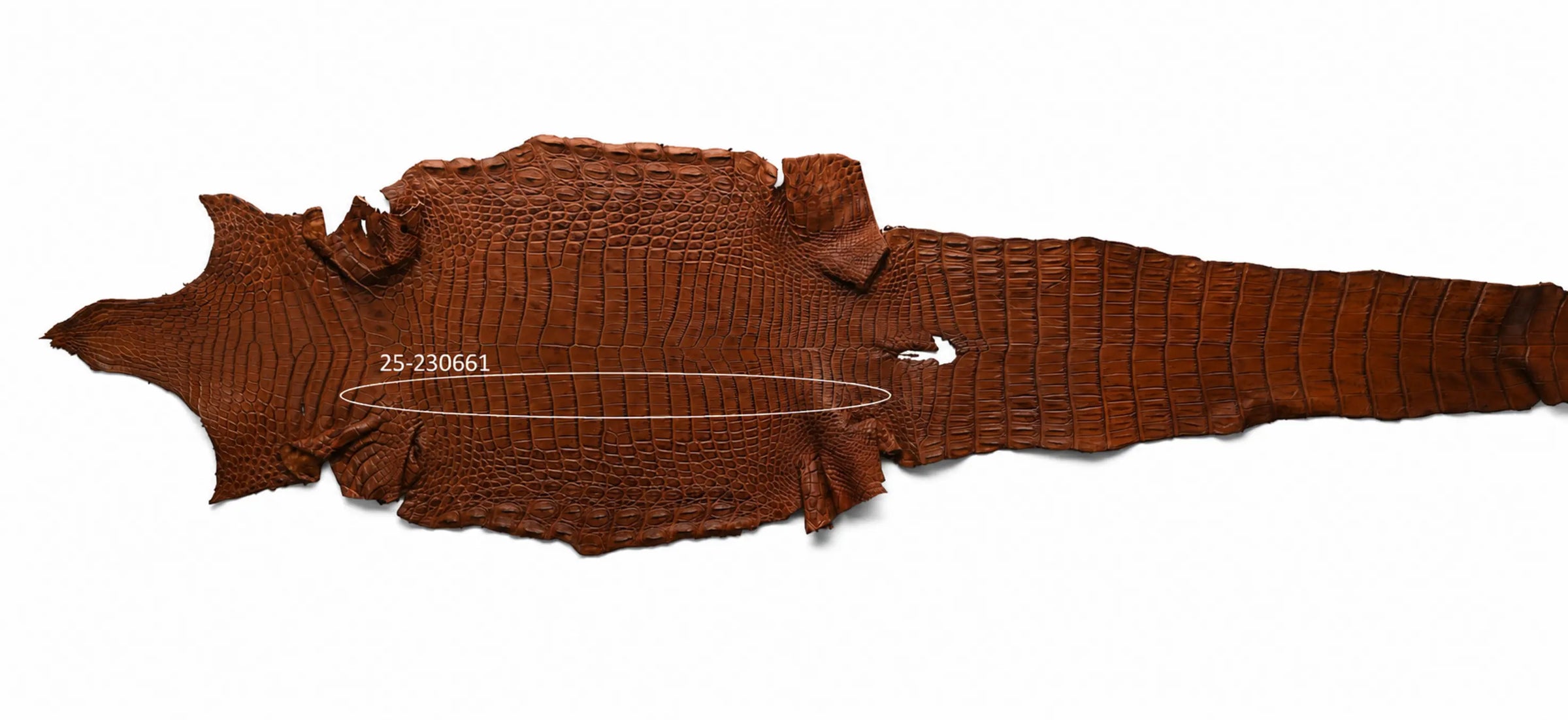 Seronera belt - Cognac / 130 cm / 40 mm - 126724 - skin