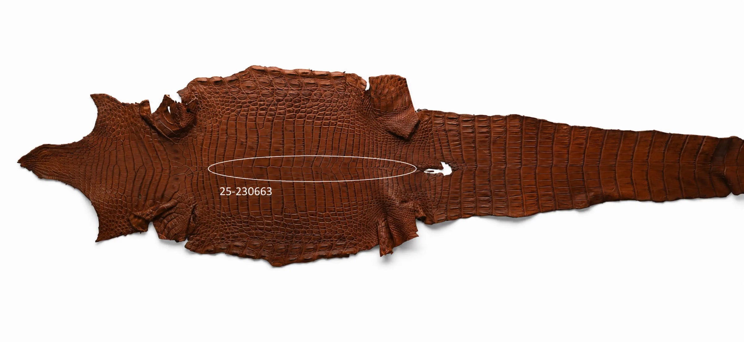 Seronera belt - Cognac / 125 cm / 40 mm - 126726 - skin