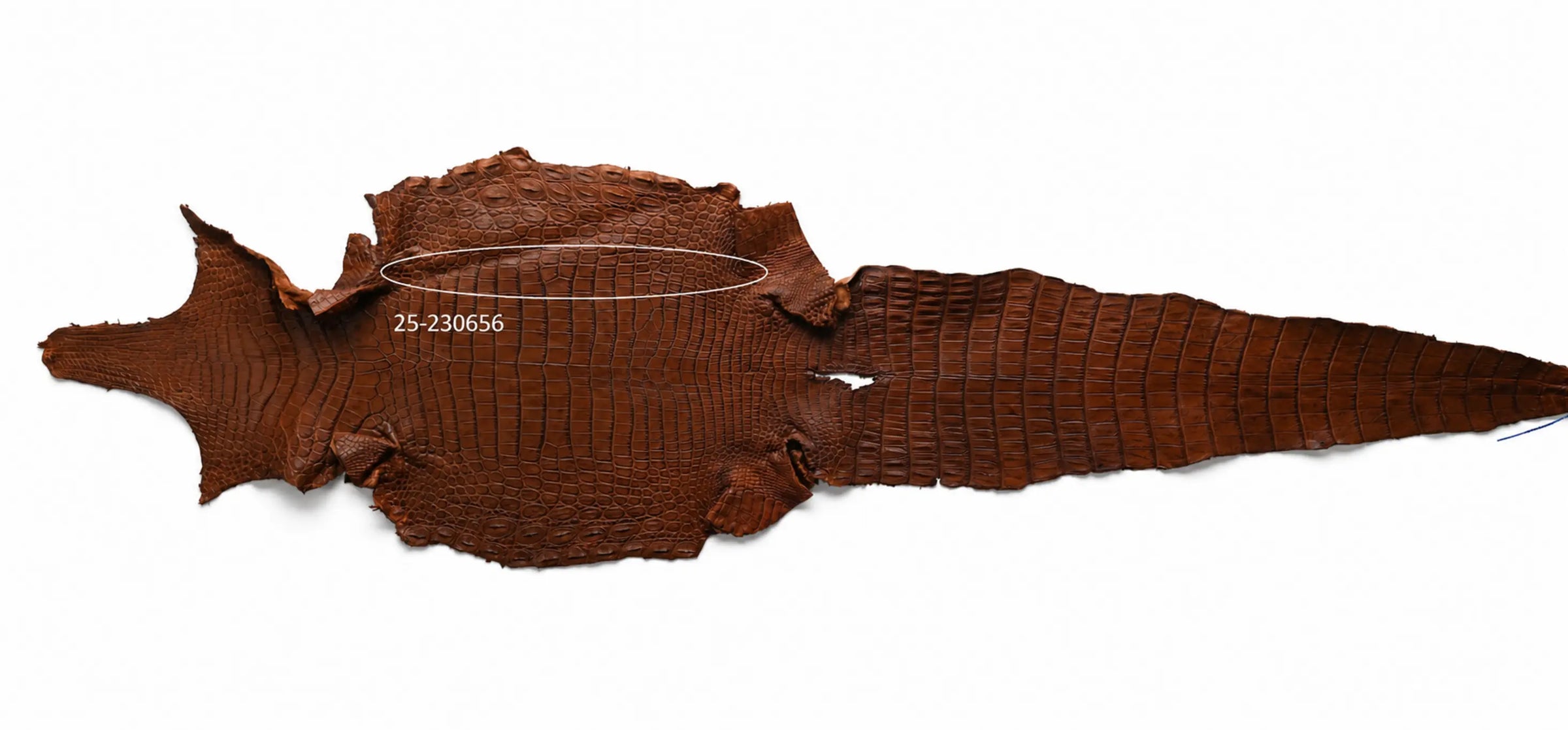 Seronera belt - Cognac / 105 cm / 40 mm - 126719 - skin
