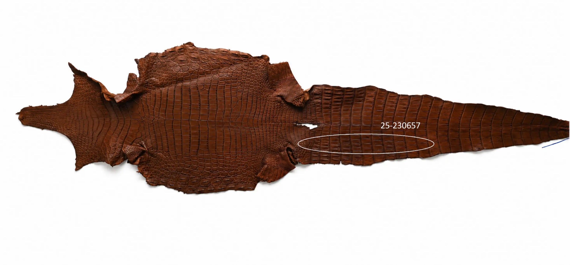 Seronera belt - Cognac / 105 cm / 40 mm - 126720 - skin