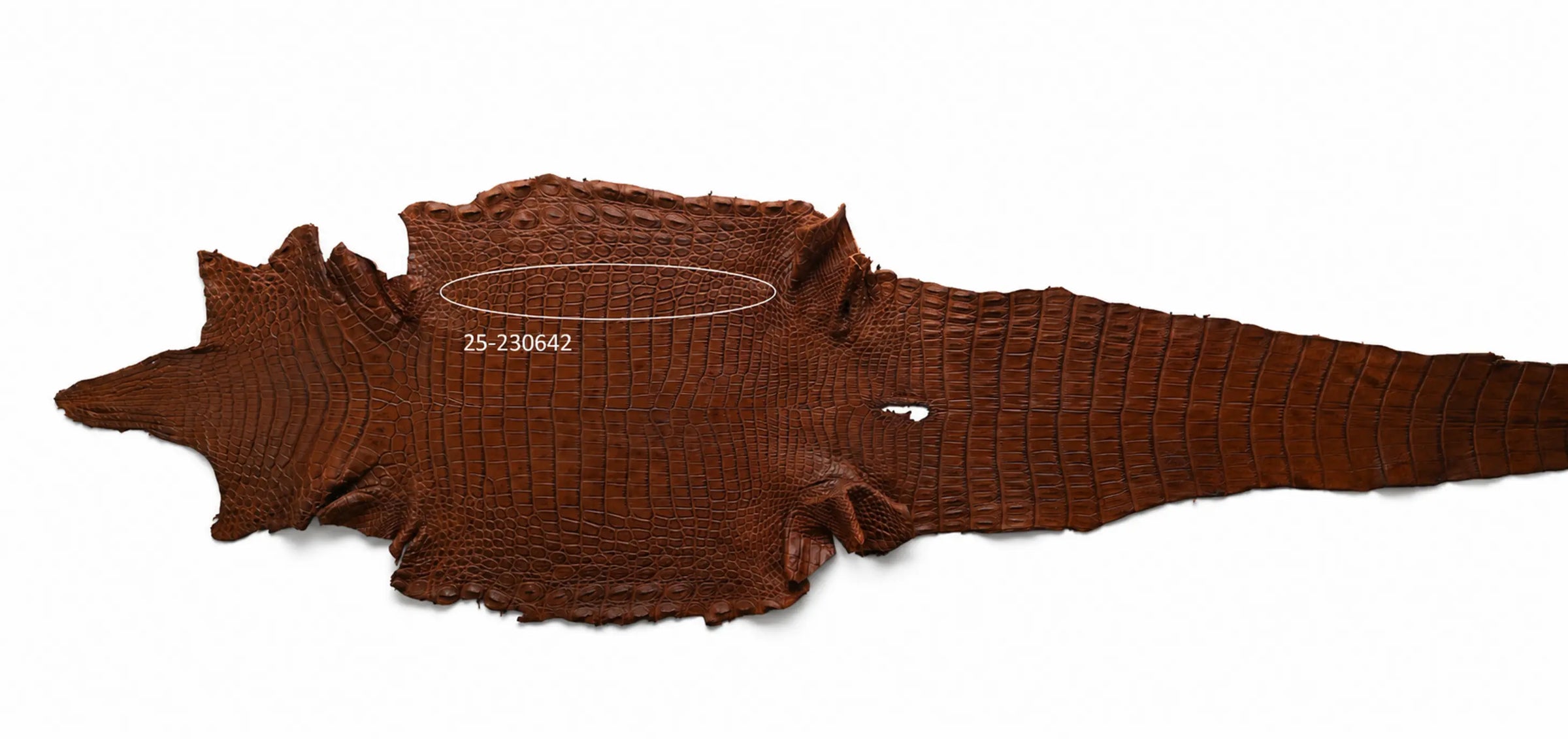 Seronera belt - Cognac / 90 cm / 40 mm - 126706 - skin