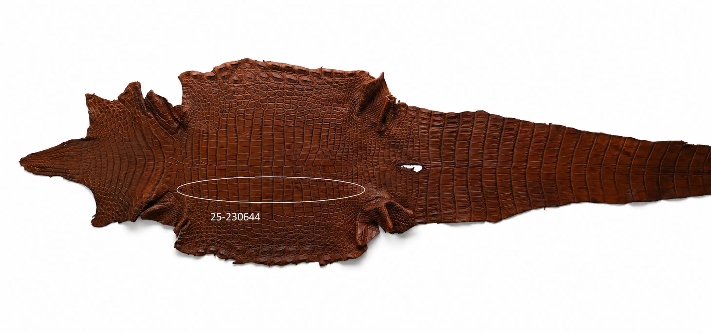 Seronera belt - Cognac / 105 cm / 40 mm - 126708 - skin