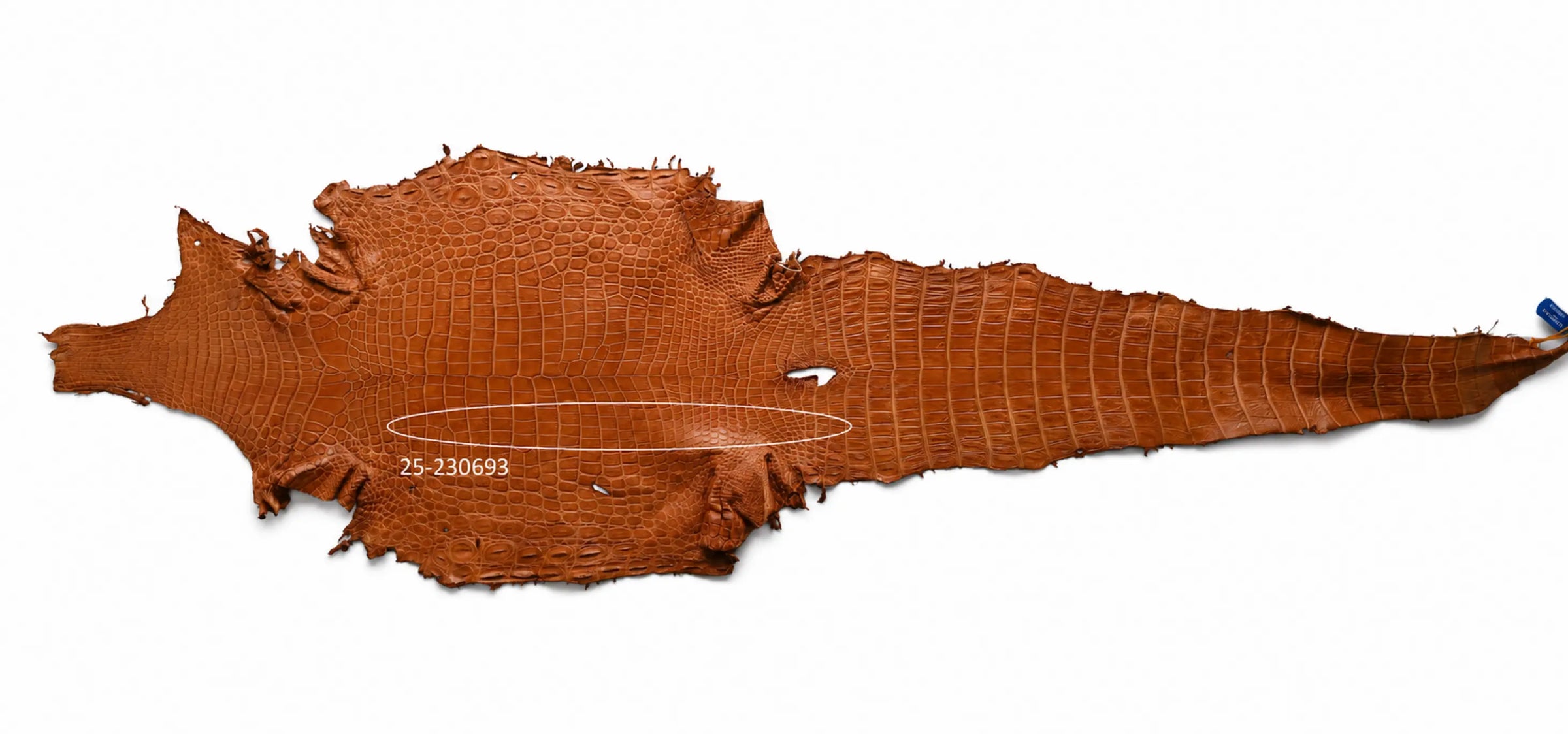 Seronera belt - Cognac / 105 cm / 40 mm - 126756 - skin