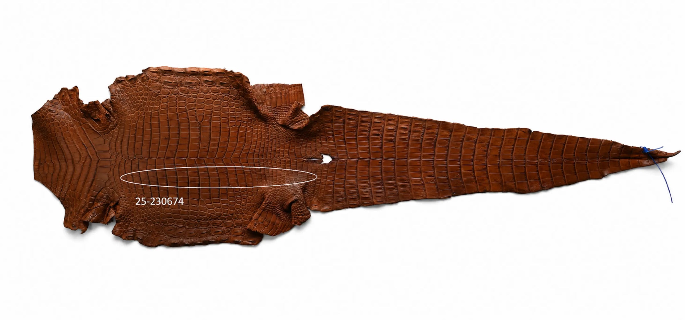 Seronera belt - Cognac / 95 cm / 40 mm - 126737 - skin
