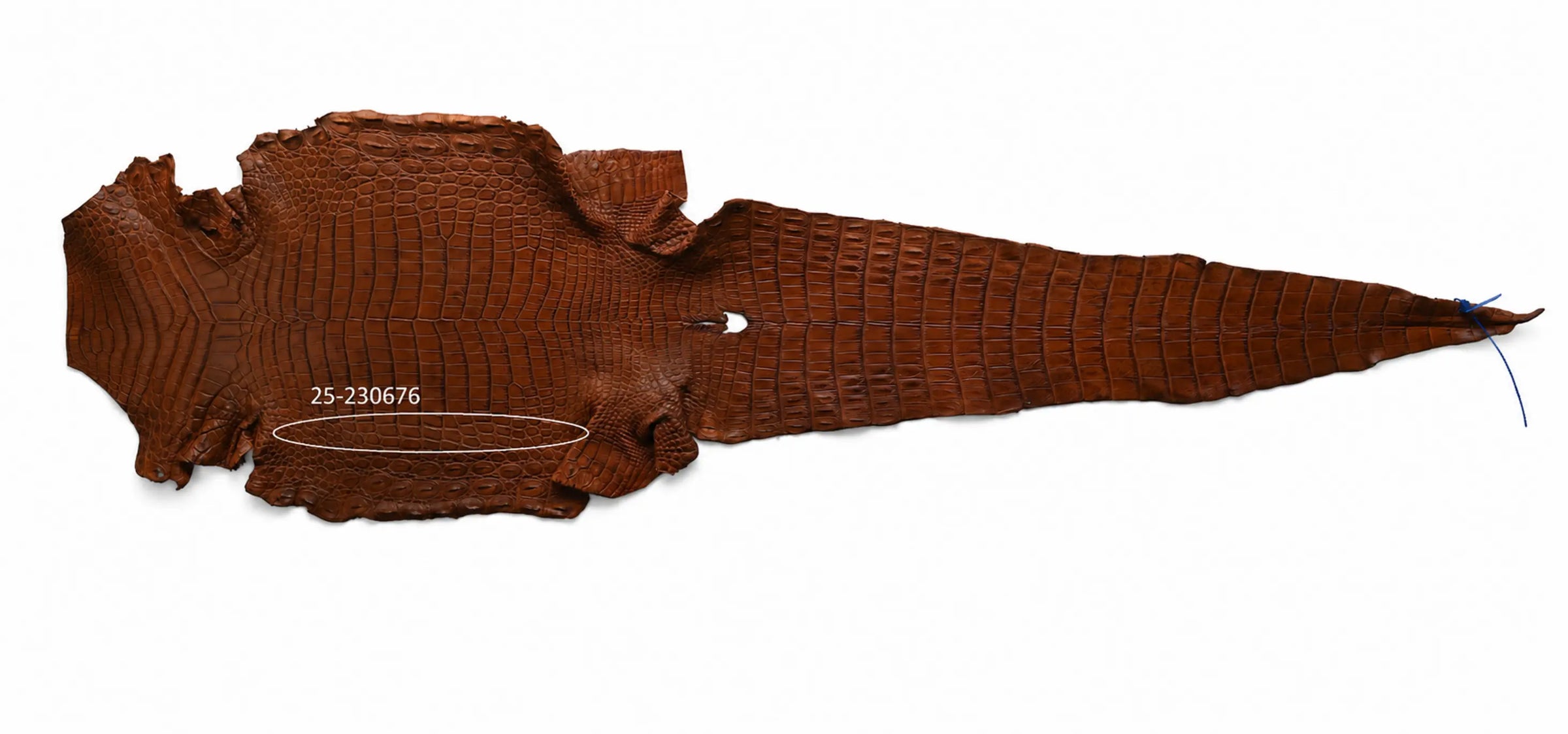 Seronera belt - Cognac / 90 cm / 40 mm - 126739 - skin