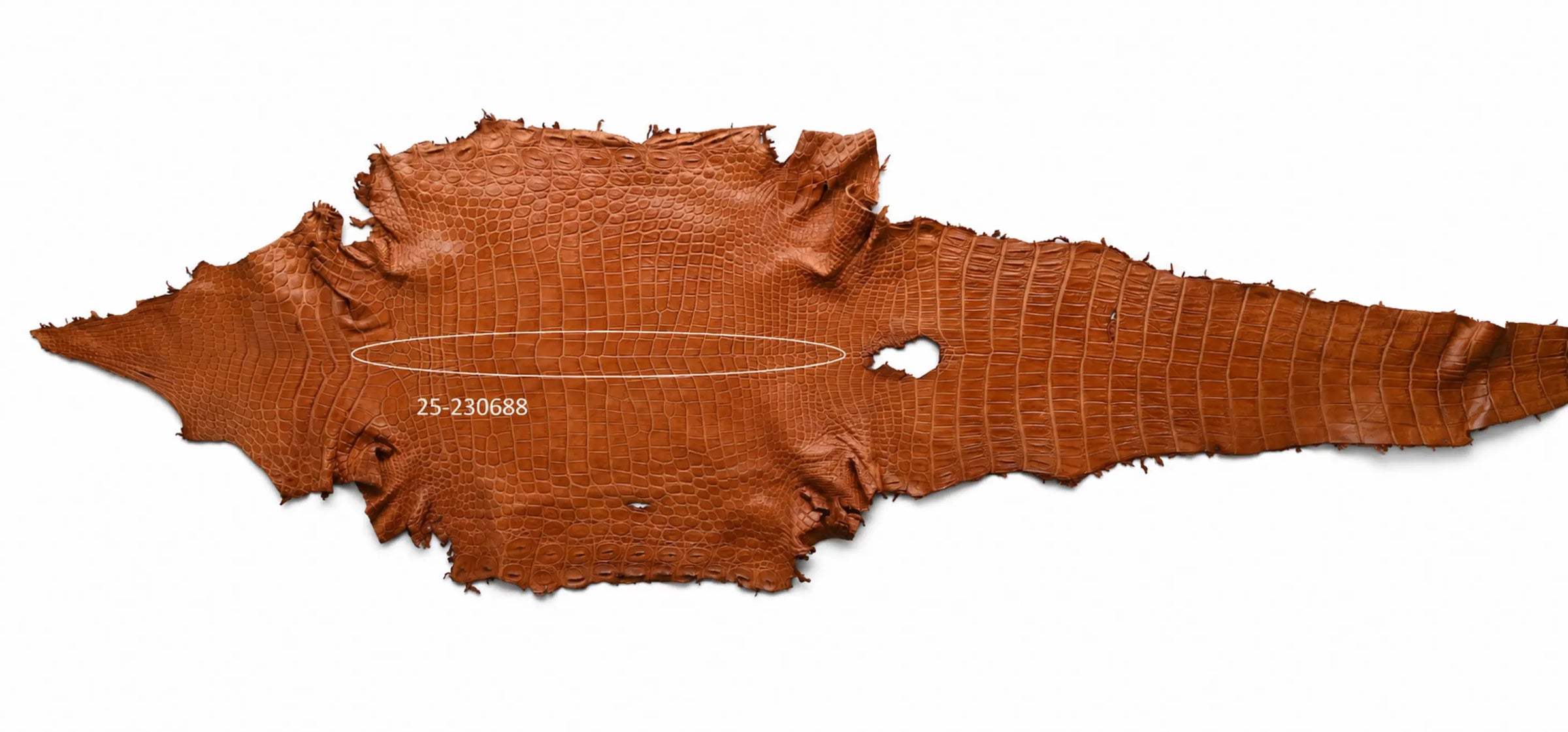 Seronera belt - Cognac / 105 cm / 40 mm - 126751 - skin