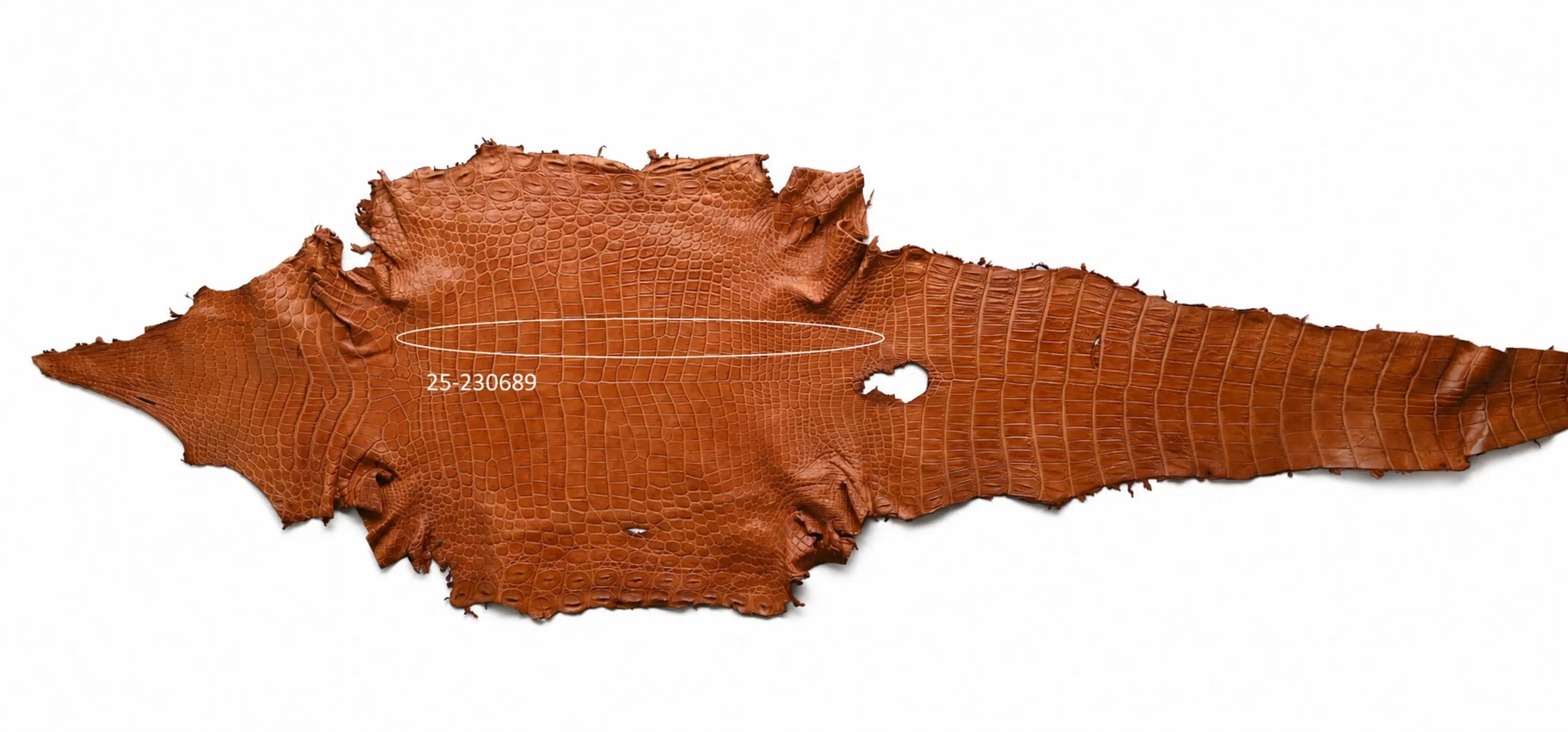 Seronera belt - Cognac / 95 cm / 40 mm - 126752 - skin