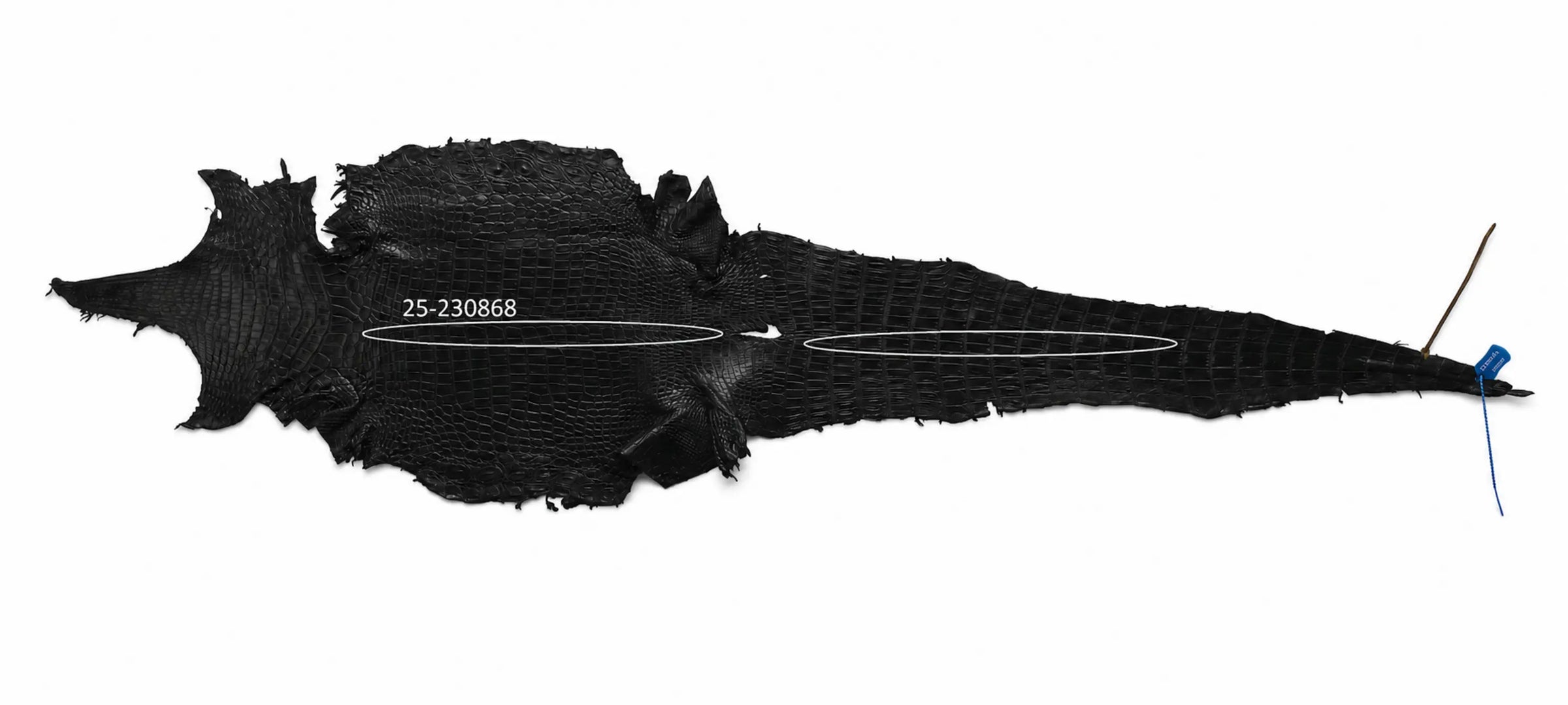 Seronera belt - Black / 85 cm / 35 mm - 126863 - skin