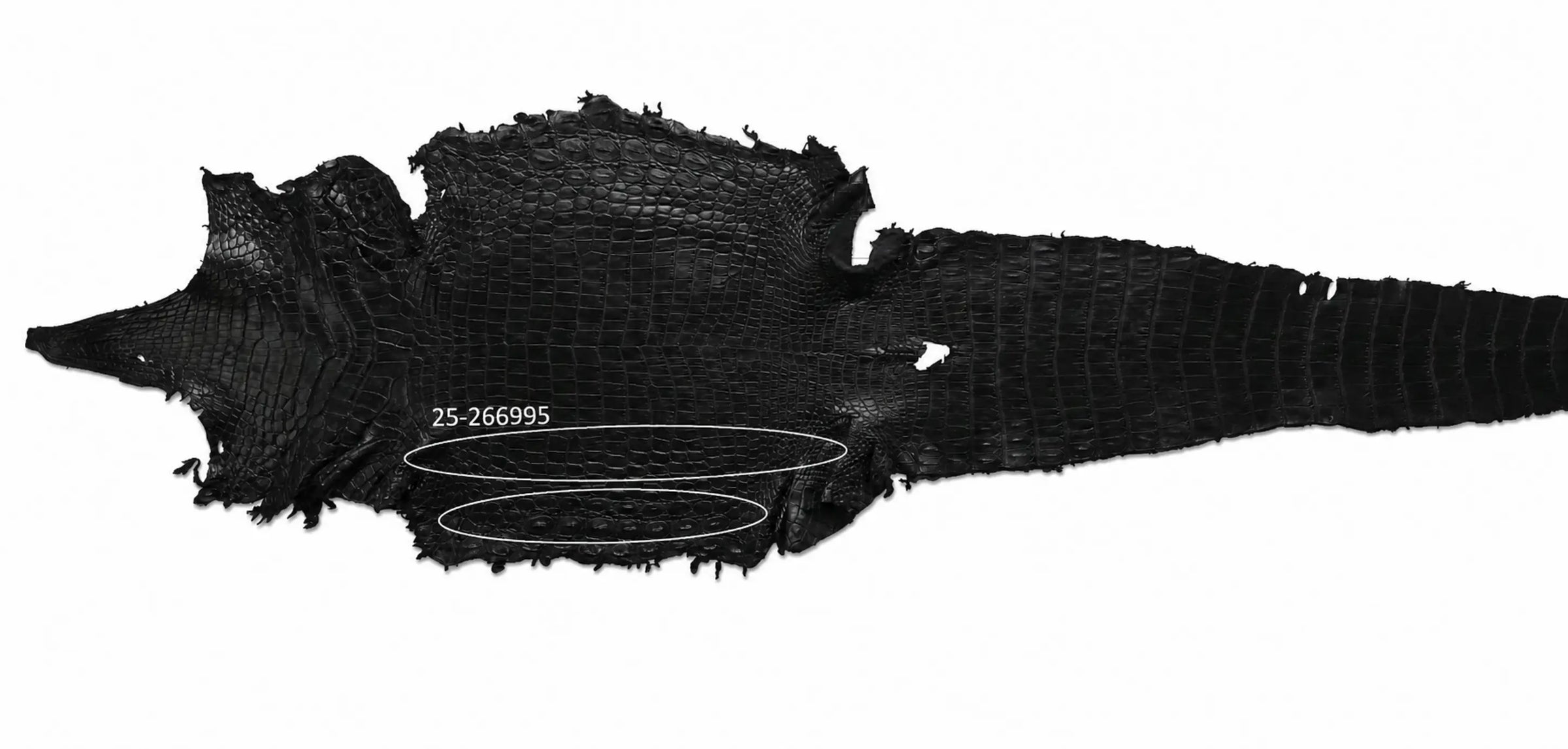 Seronera belt - Black / 120 cm / 40 mm - 127005 - skin
