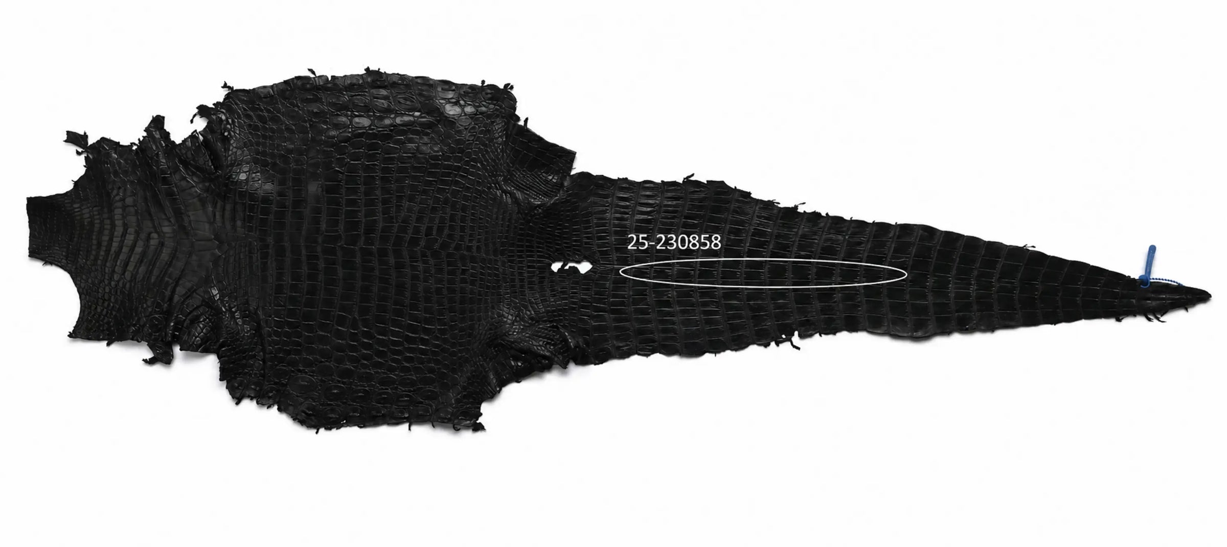 Seronera belt - Black / 70 cm / 35 mm - 126853 - skin