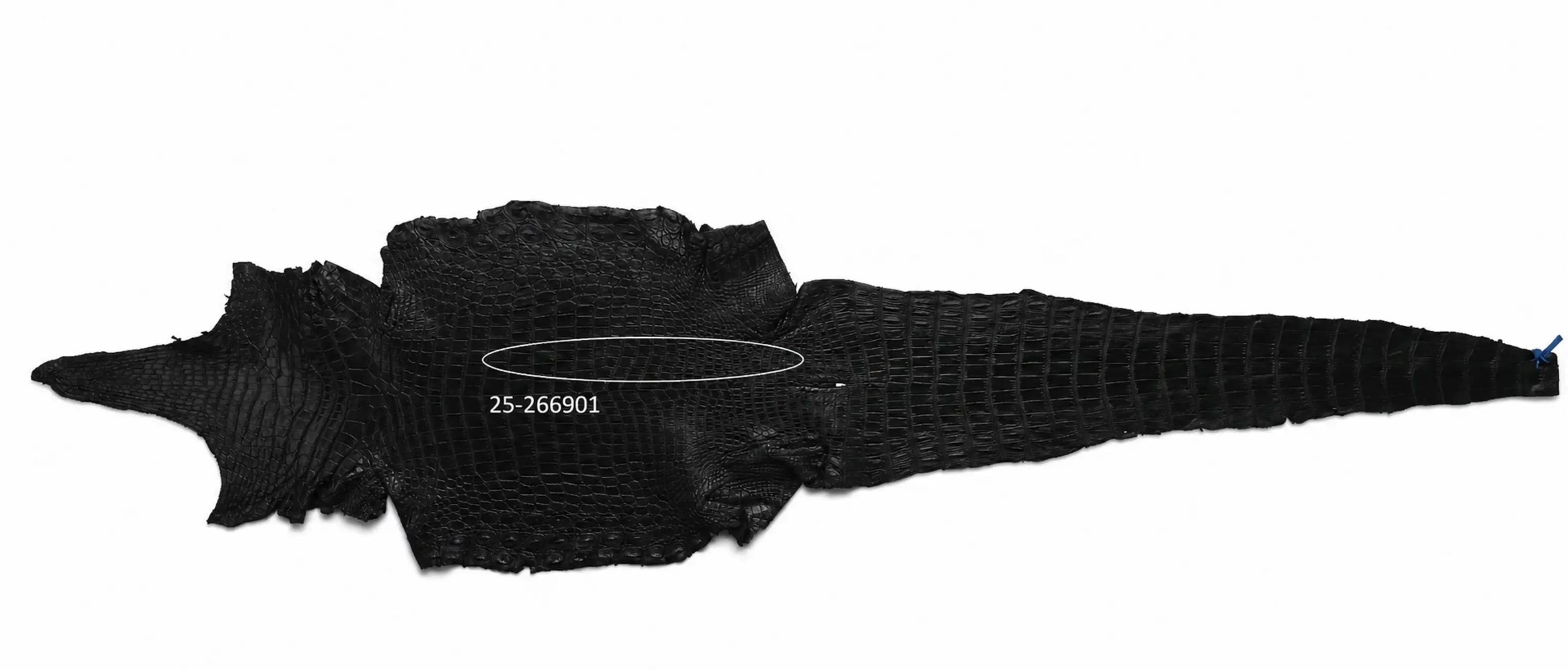 Seronera belt - Black / 85 cm / 35 mm - 126911 - skin