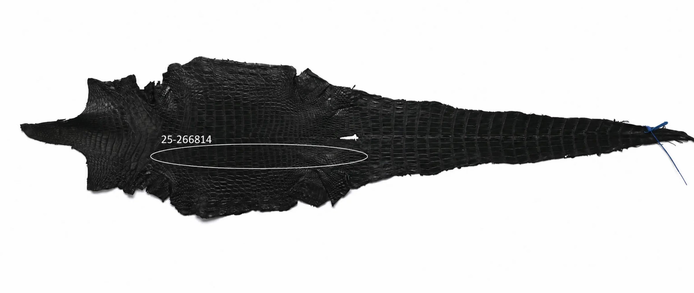 Seronera belt - Black / 105 cm / 40 mm - 127371 - skin