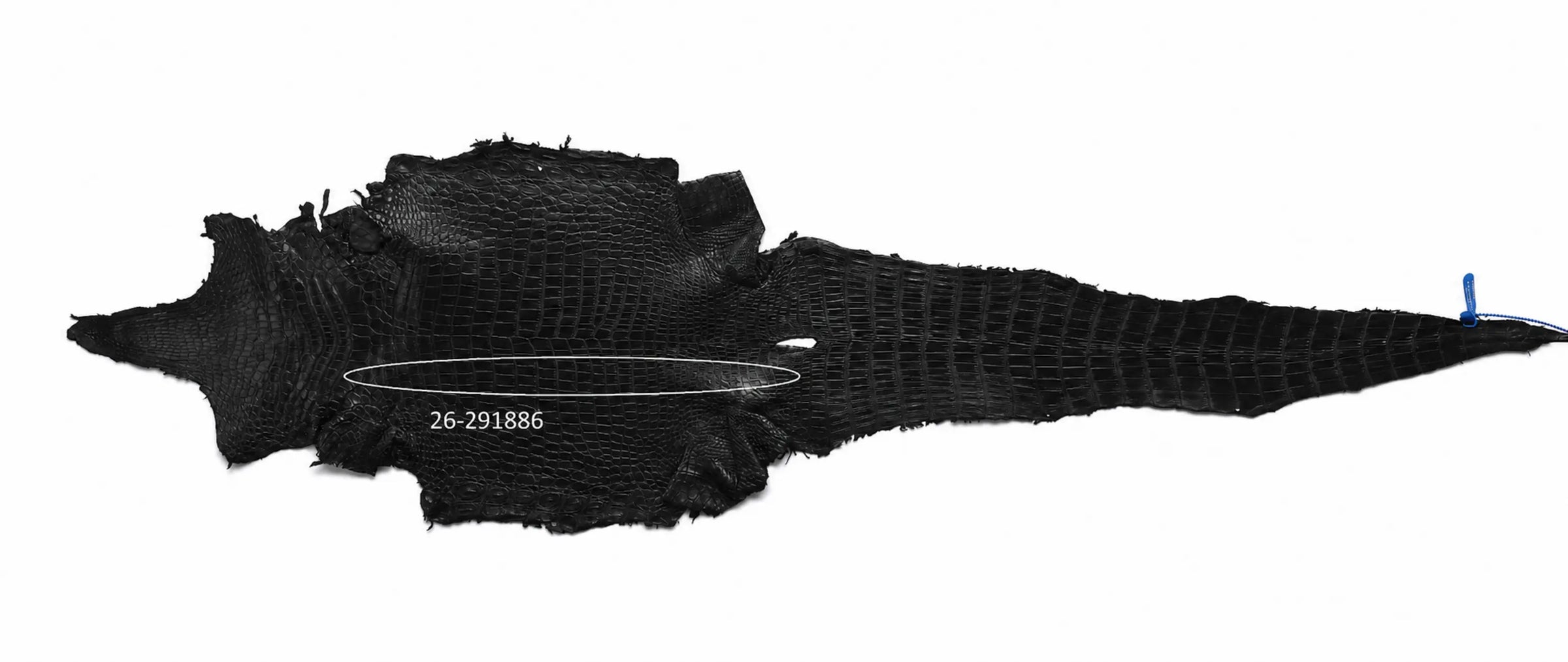 Seronera belt - Black / 85 cm / 35 mm - 127321 - skin