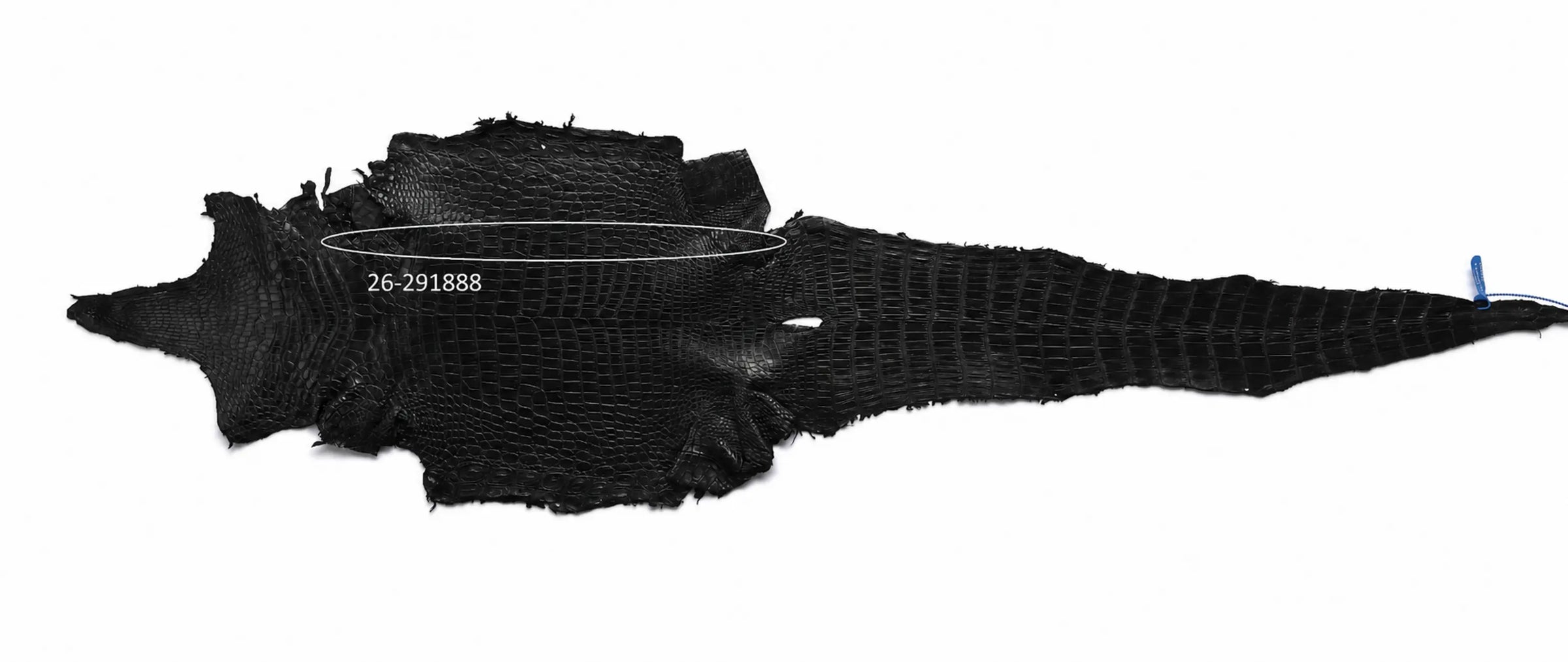Seronera belt - Black / 75 cm / 35 mm - 127323 - skin