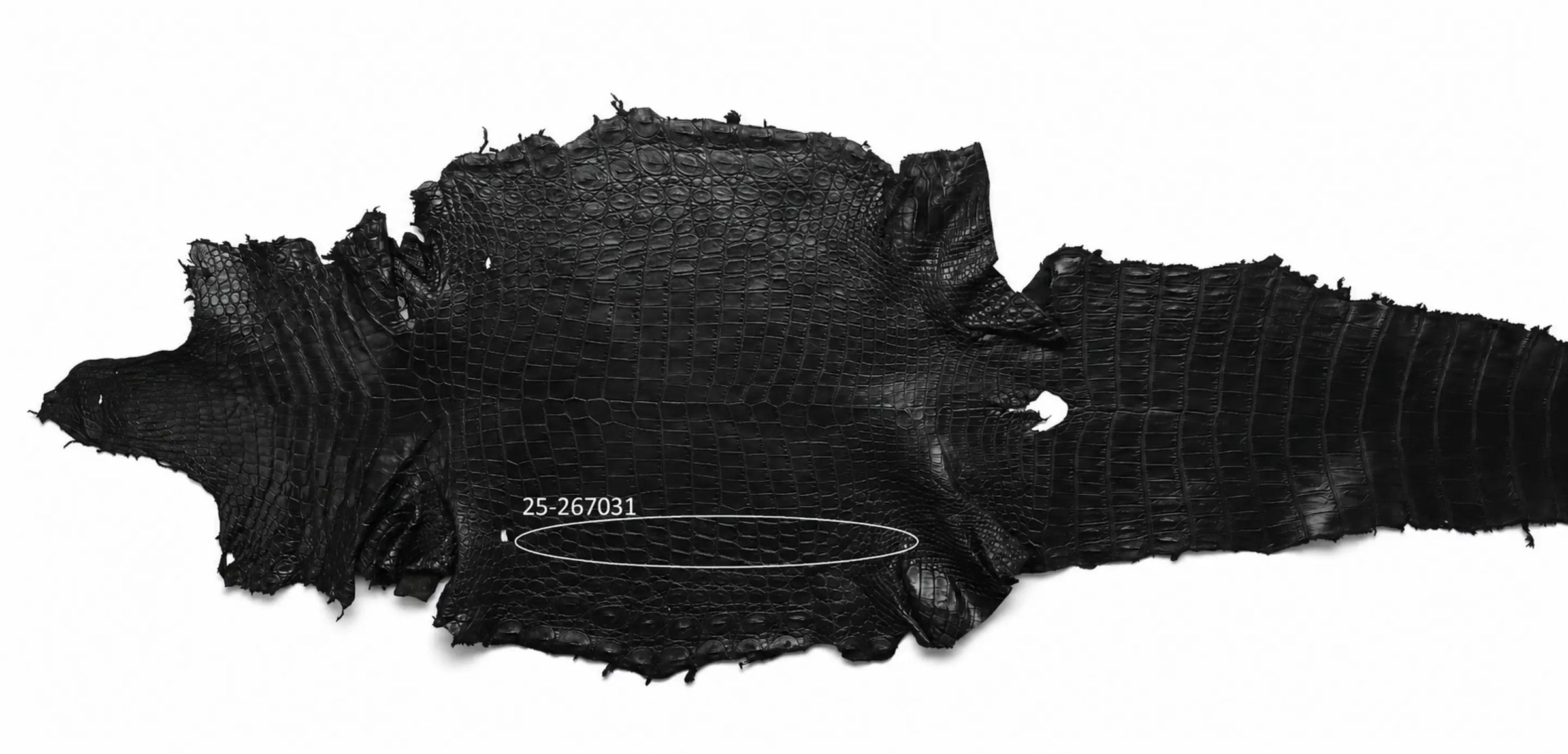 Seronera belt - Black / 85 cm / 35 mm - 127041 - skin
