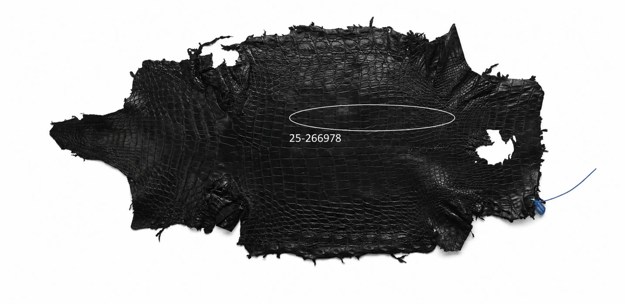 Seronera belt - Black / 105 cm / 40 mm - 126988 - skin