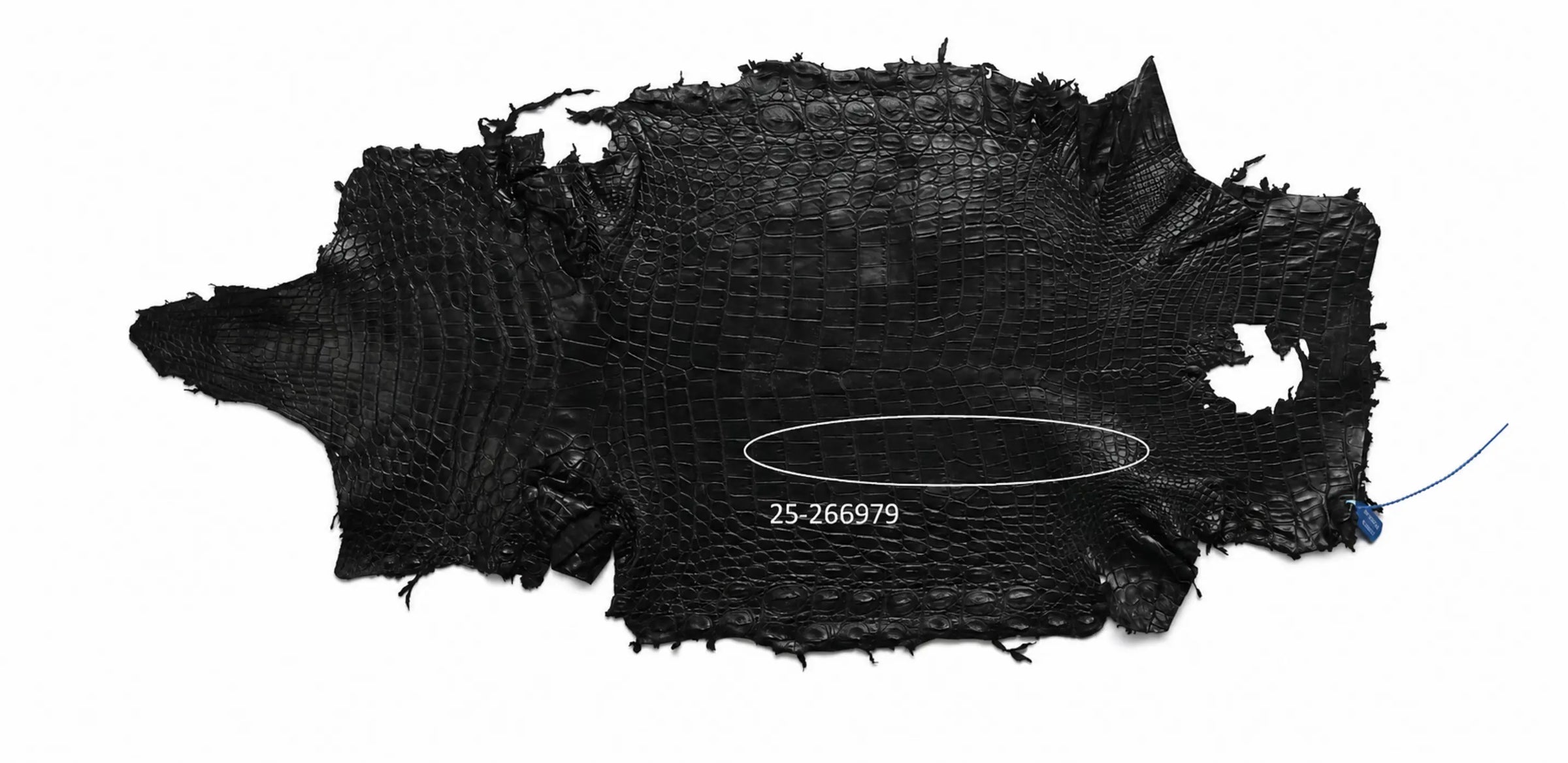Seronera belt - Black / 90 cm / 40 mm - 126989 - skin