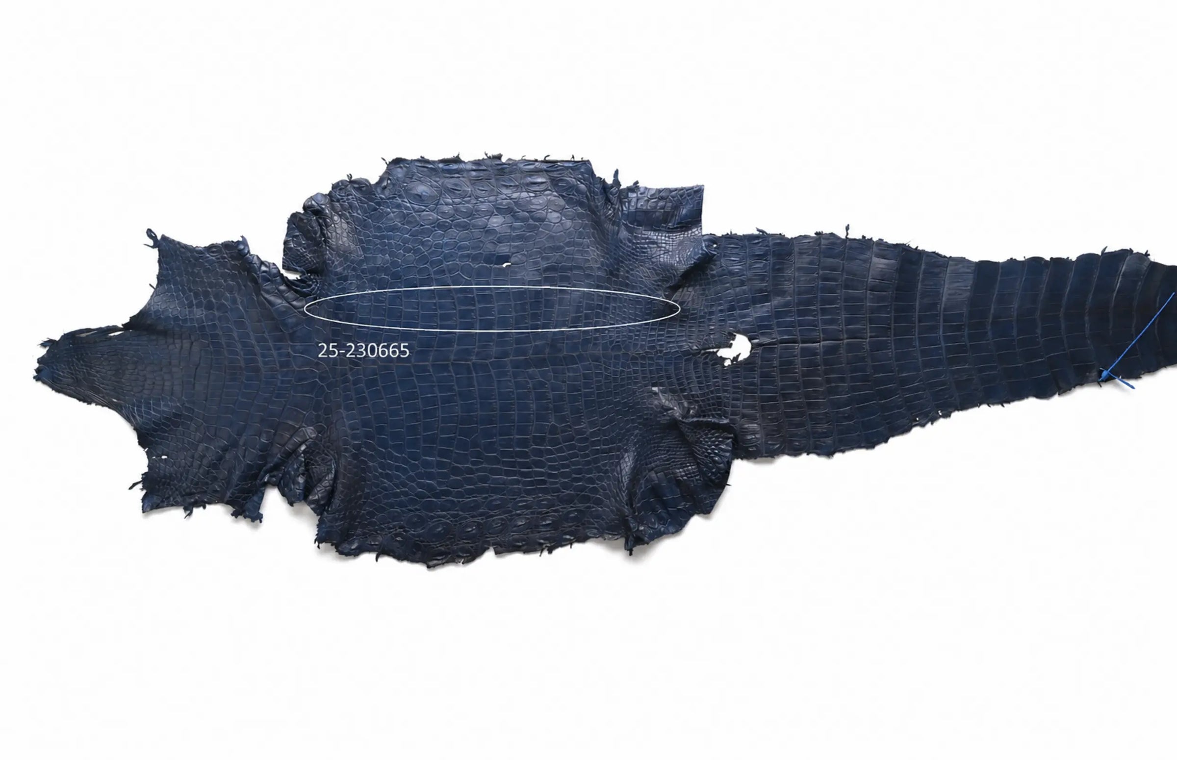 Seronera belt - Blue / 110 cm / 40 mm - 126728 - skin