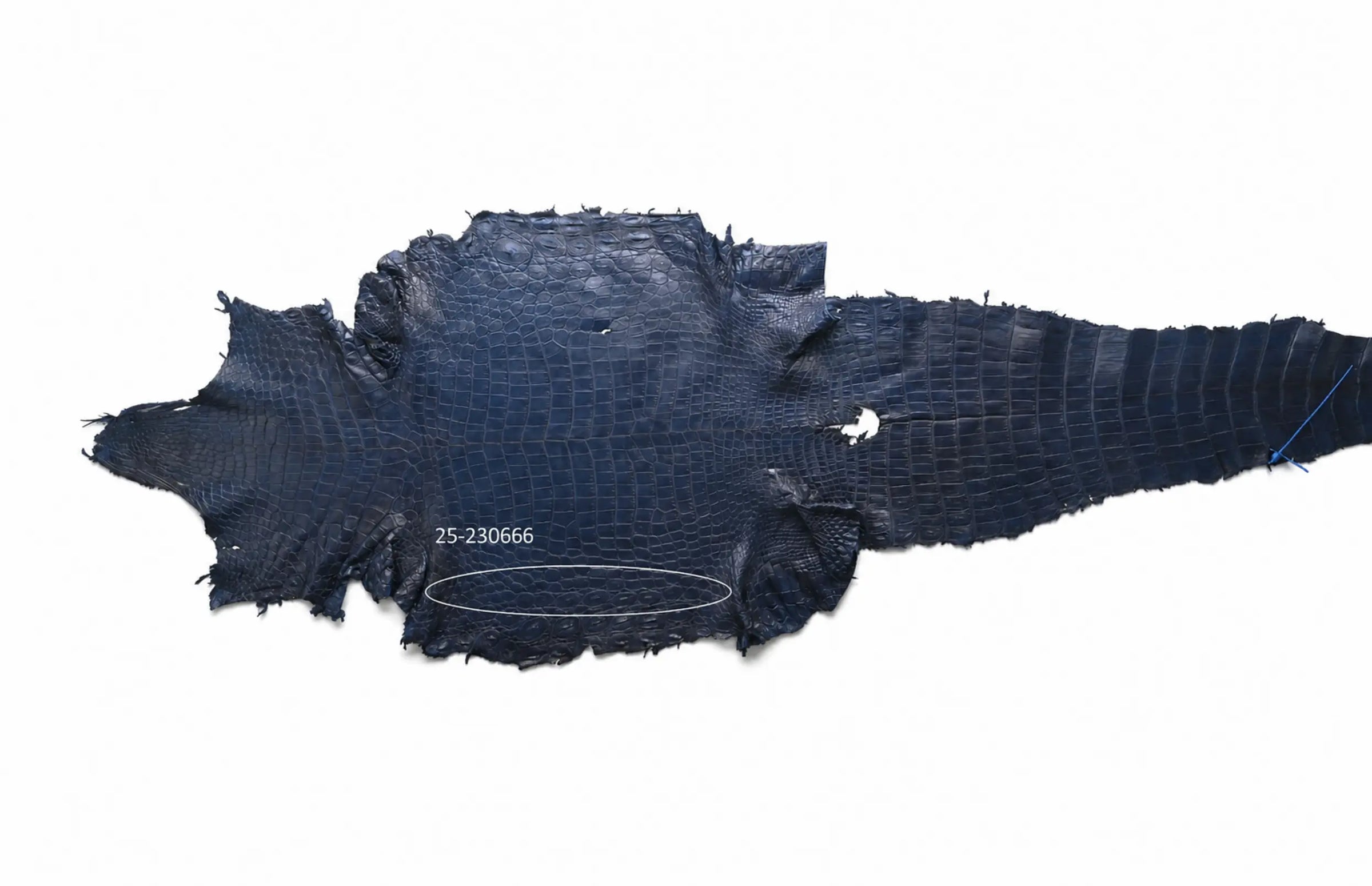 Seronera belt - Blue / 110 cm / 40 mm - 126729 - skin