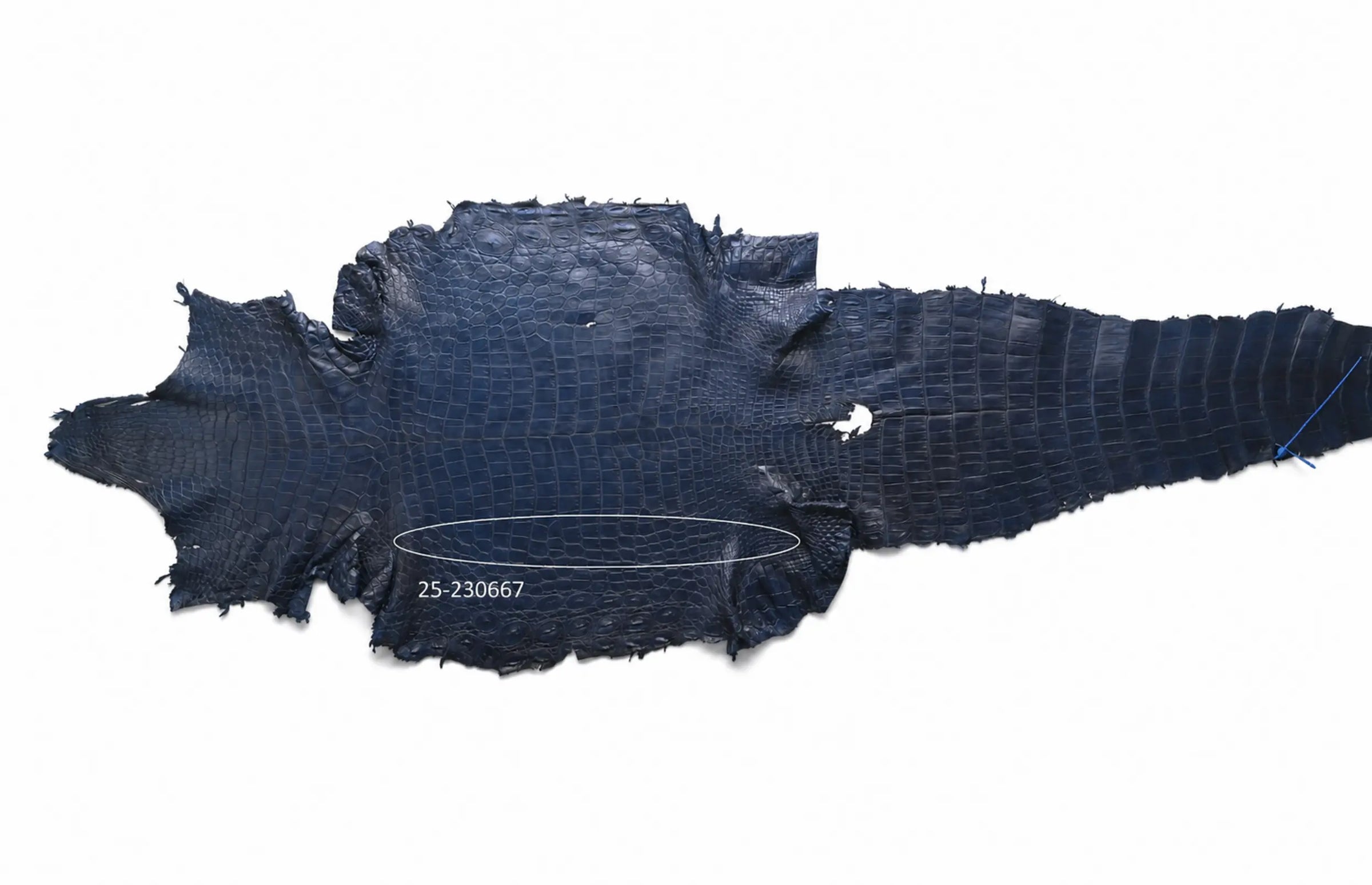 Seronera belt - Blue / 120 cm / 40 mm - 126730 - skin