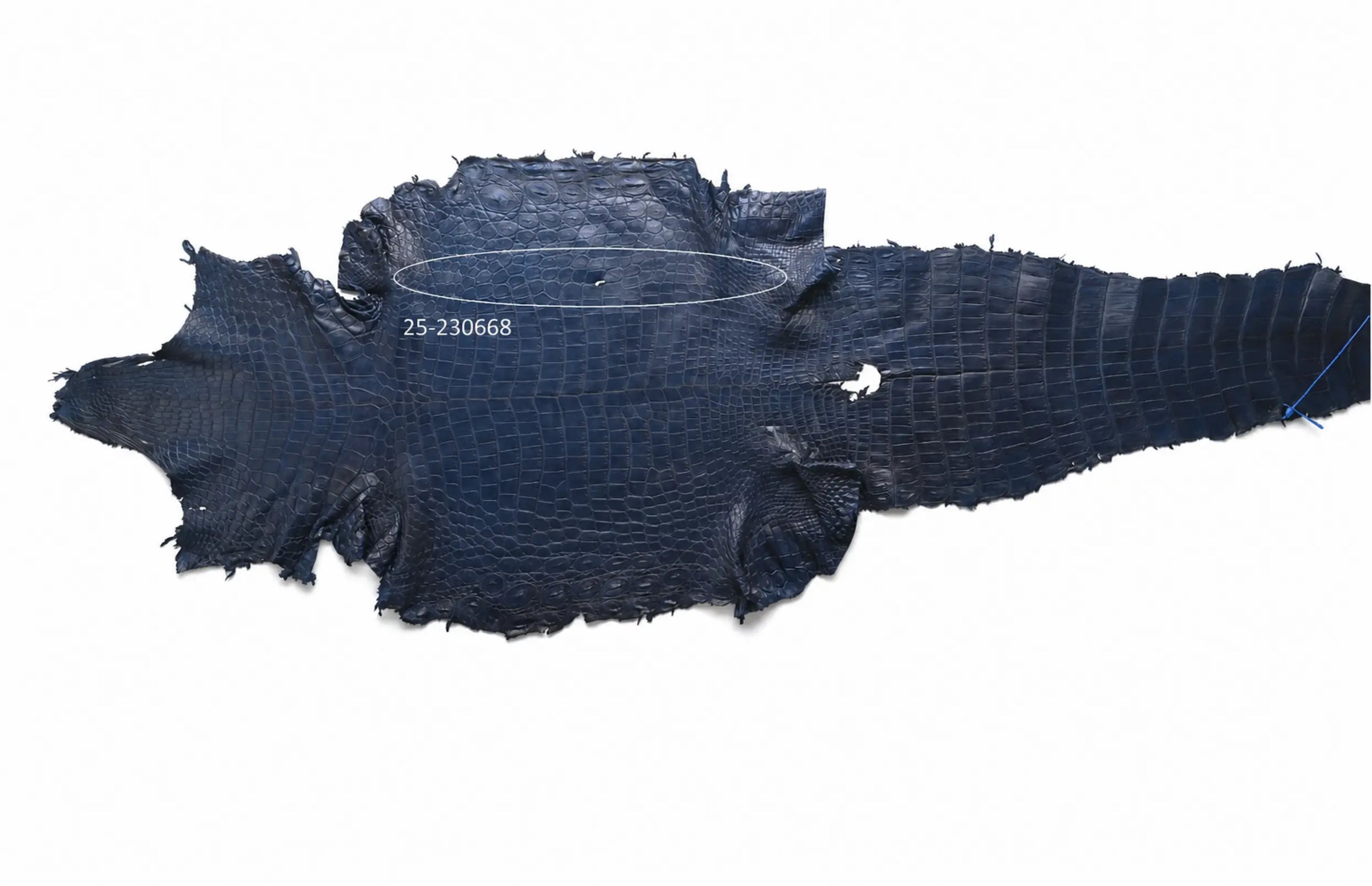 Seronera belt - Blue / 90 cm / 40 mm - 126731 - skin