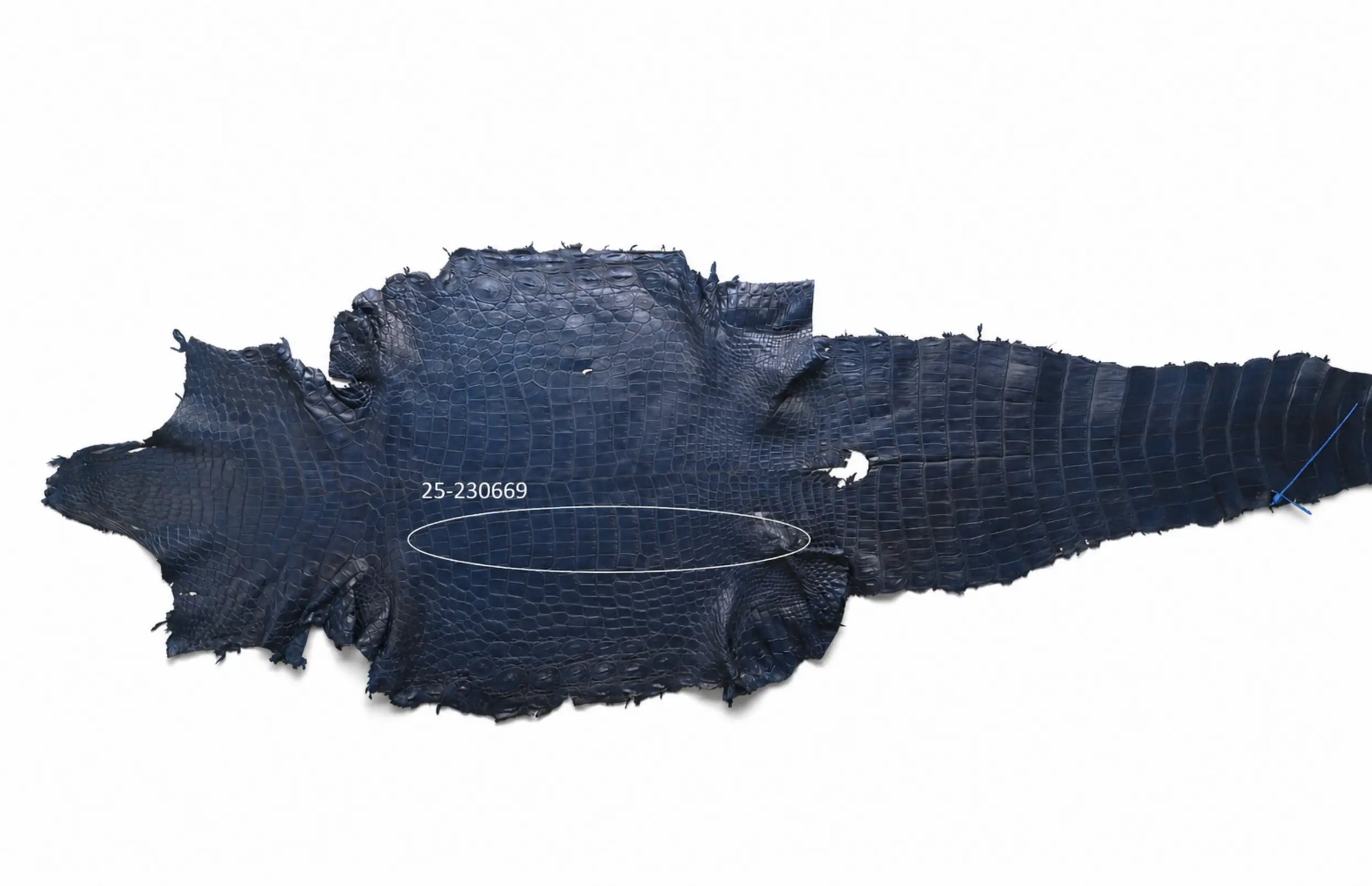 Seronera belt - Blue / 110 cm / 40 mm - 126732 - skin