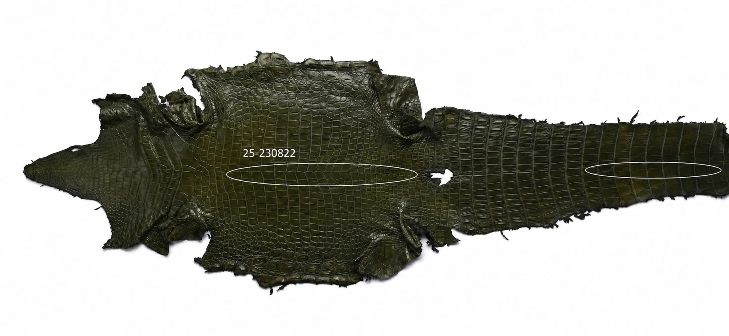 Seronera belt - Green / 105 cm / 35 mm - 126828 - skin