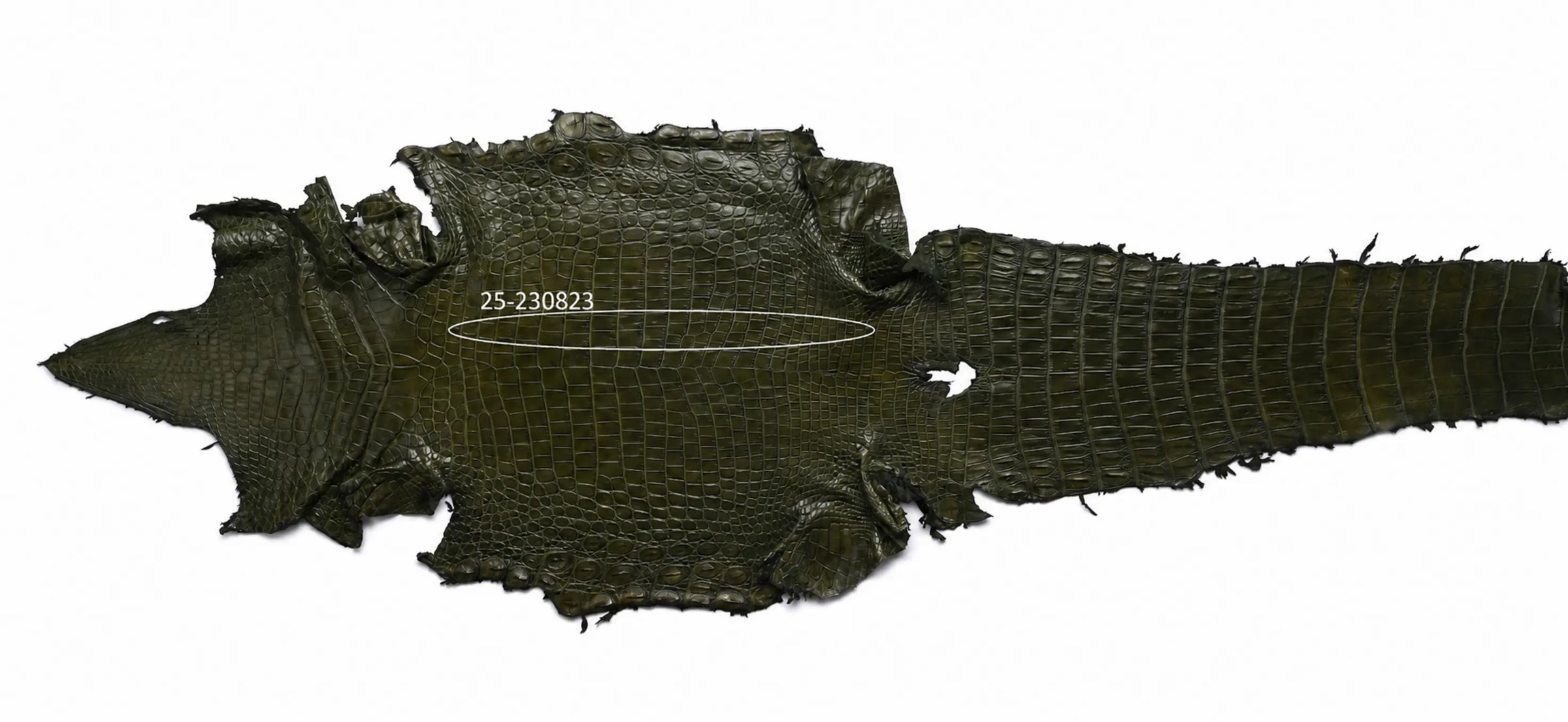 Seronera belt - Green / 85 cm / 35 mm - 126829 - skin