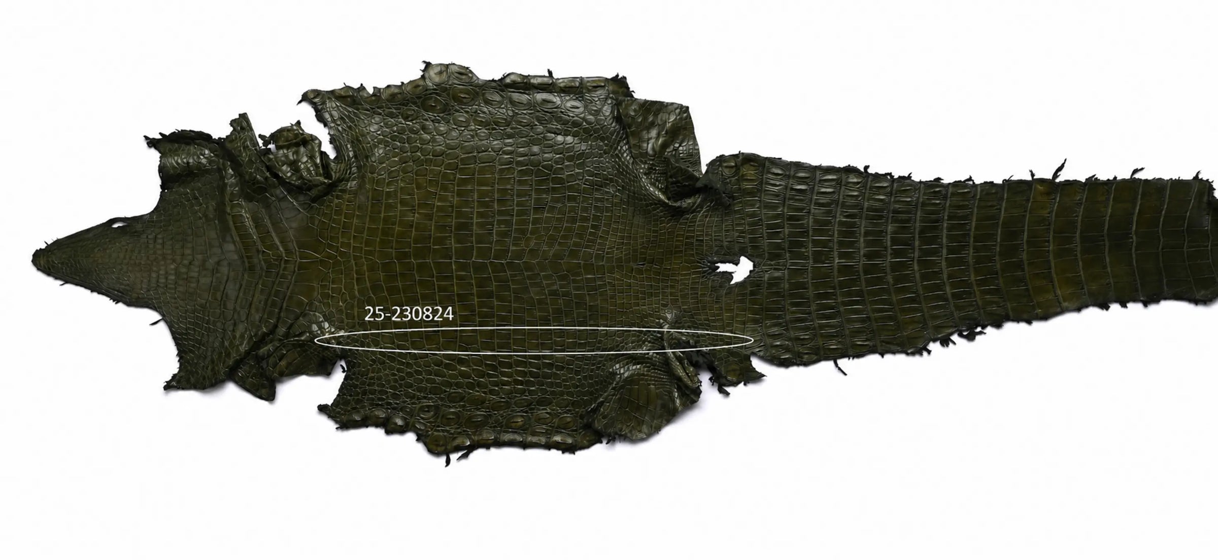 Seronera belt - Green / 110 cm / 35 mm - 126830 - skin