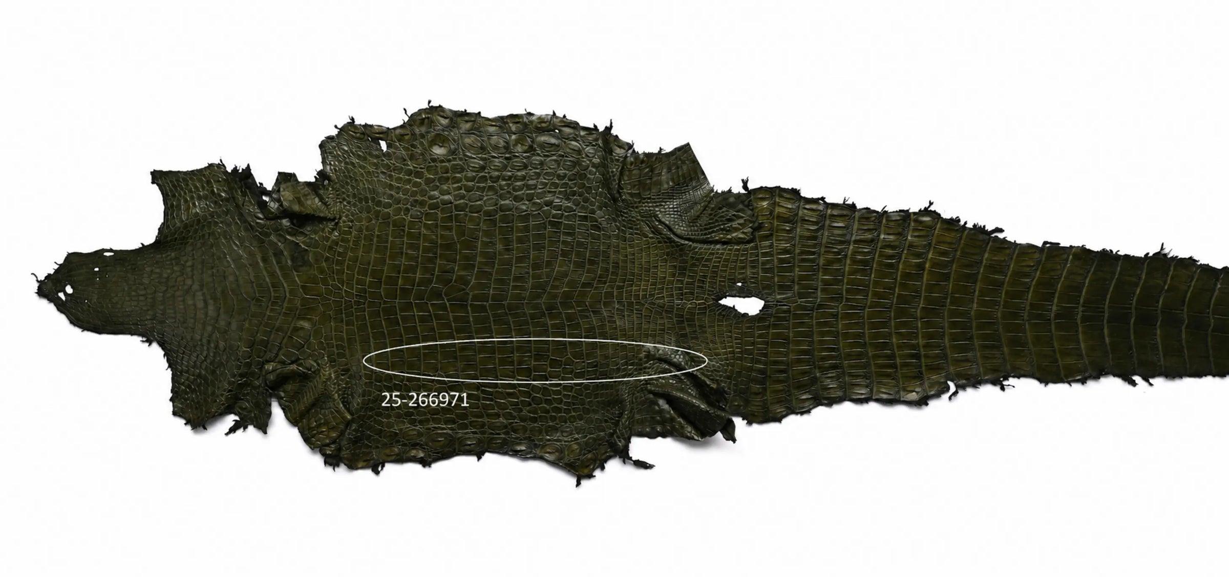 Seronera belt - Green / 120 cm / 40 mm - 126981 - skin